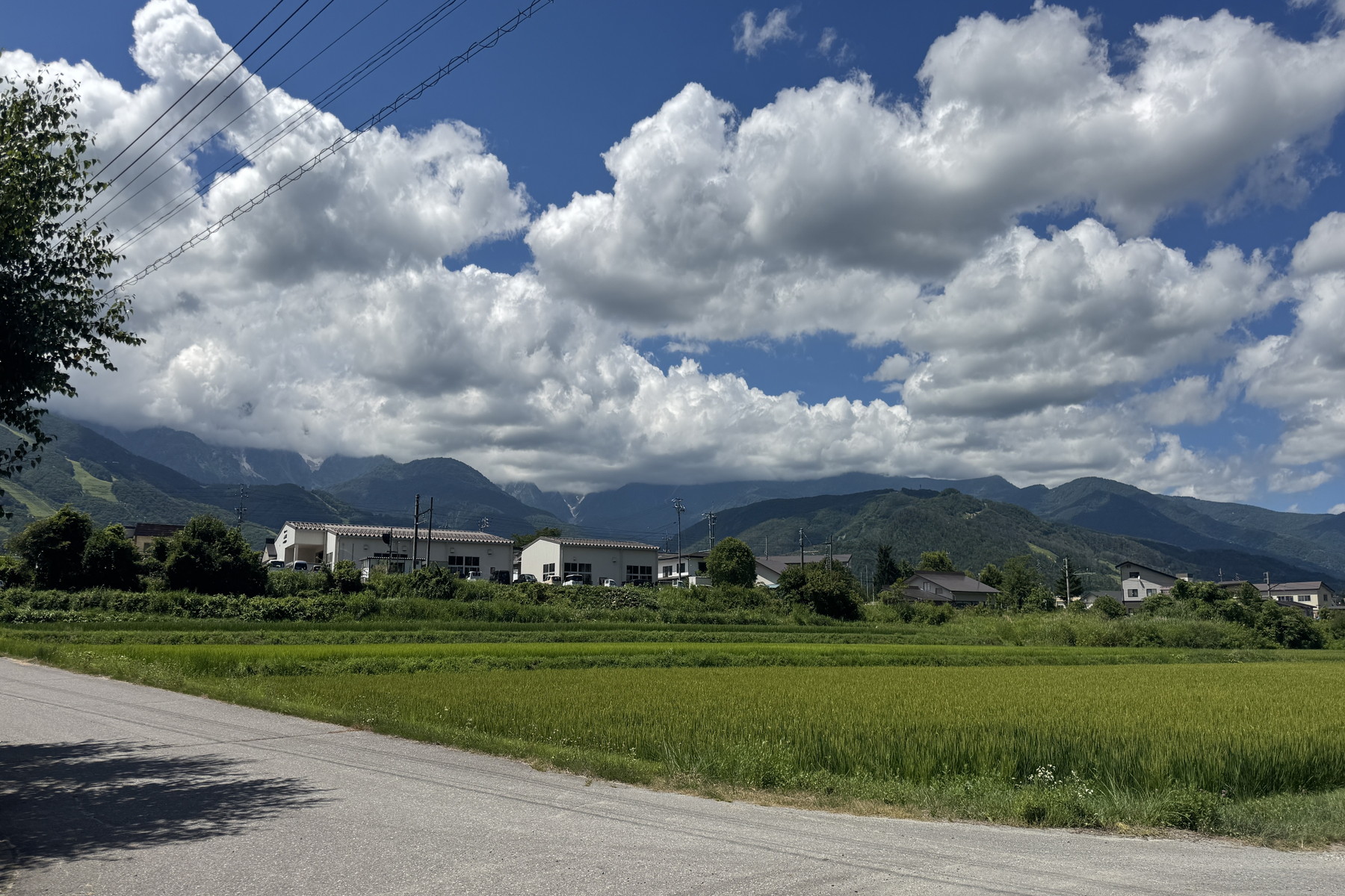  Land in Hokujo, Hakuba Village - 物件實景