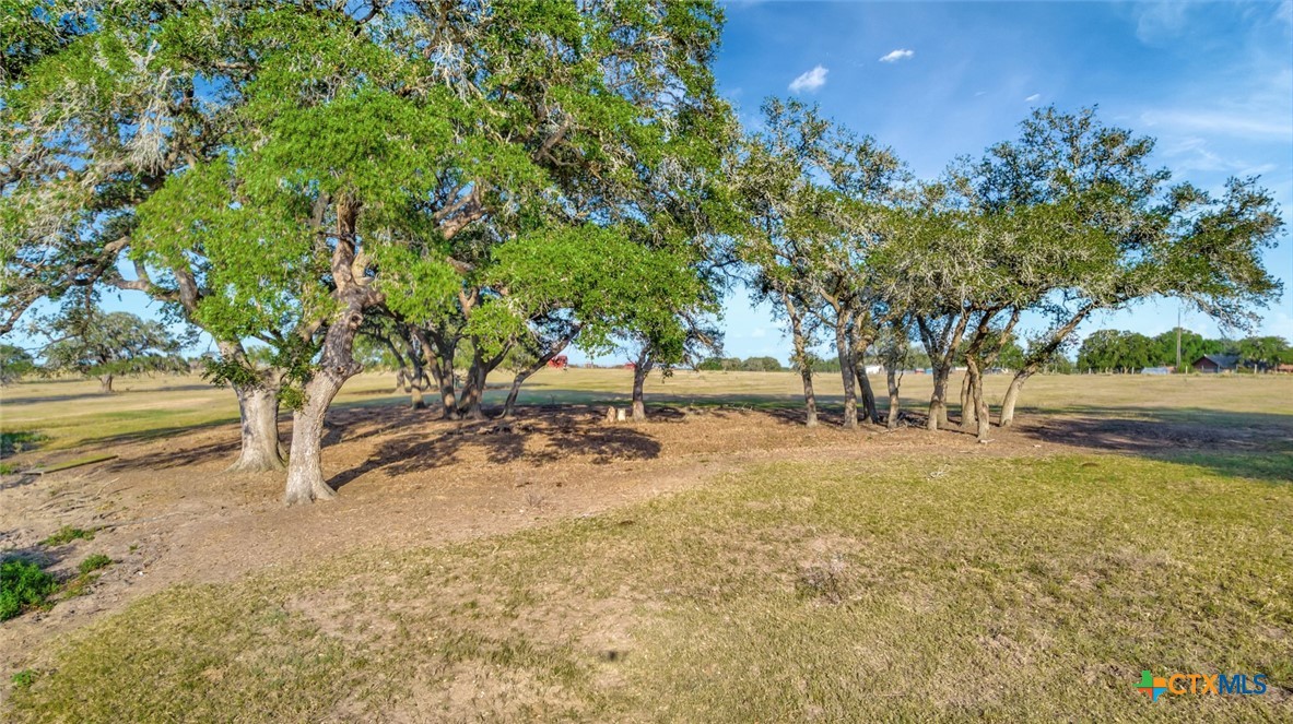 Hallettsville, Texas, 77964, United States, ,Land,For Sale,1989660