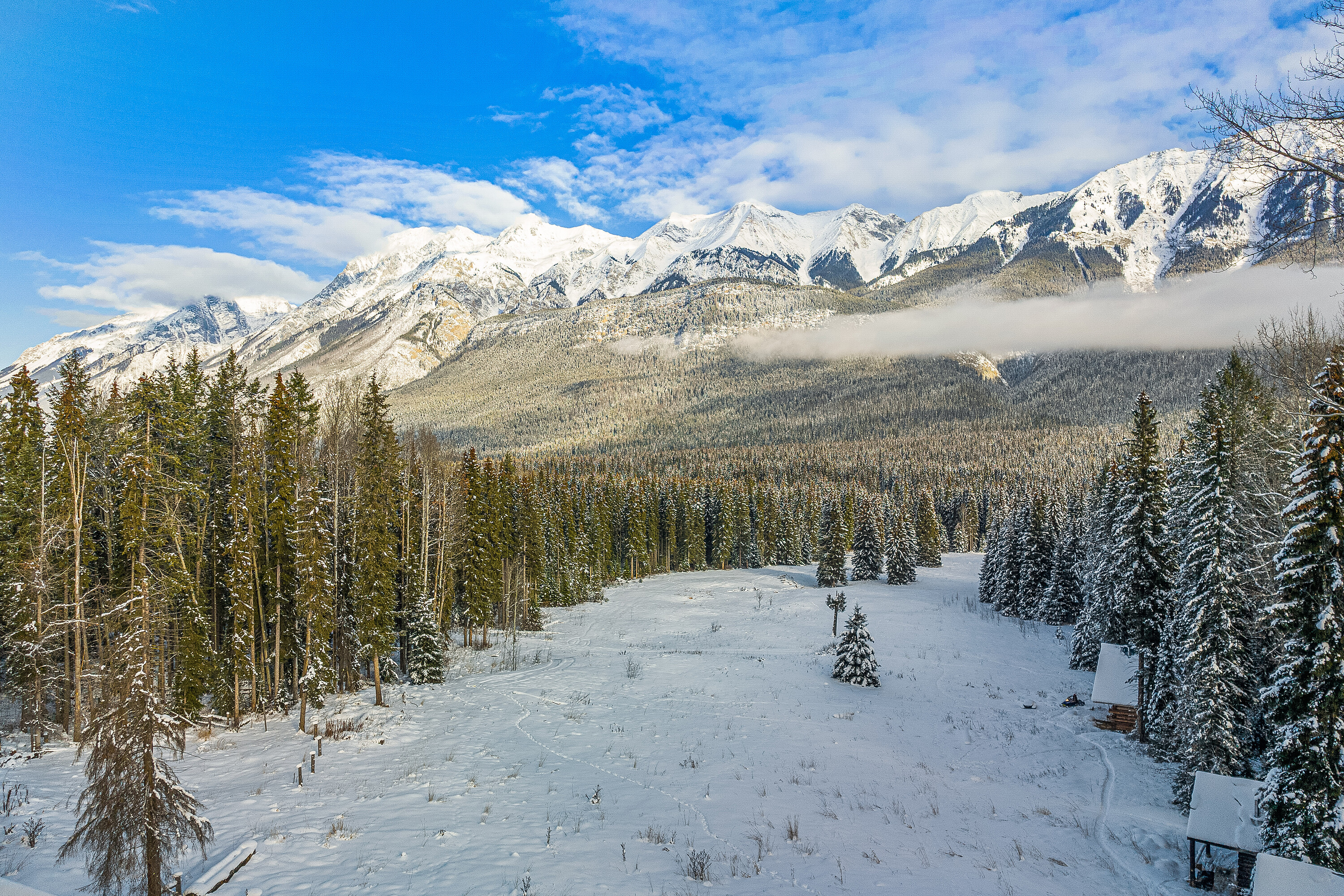  Beaverfoot Lodge - 物件實景