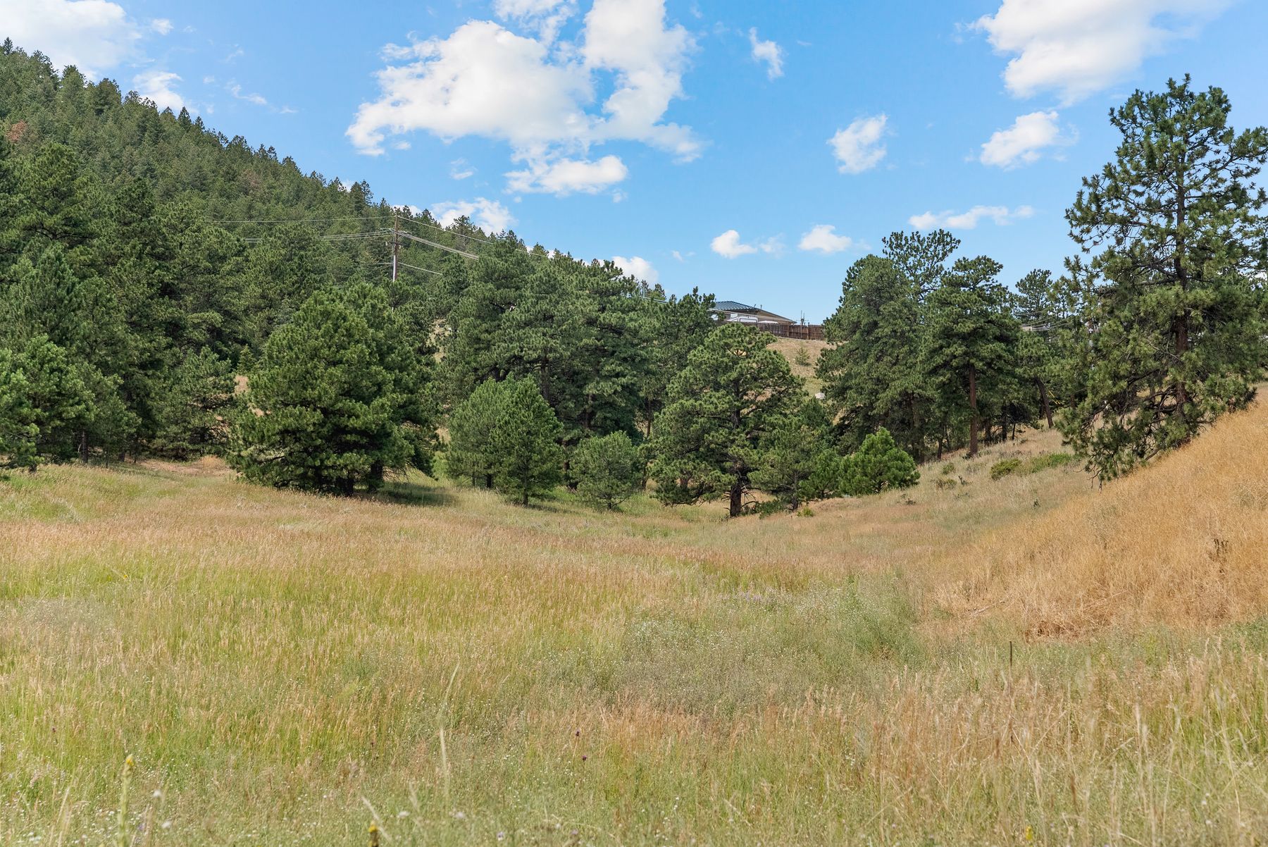  000 Hotel Way, Golden, CO, 80401 - 物件實景
