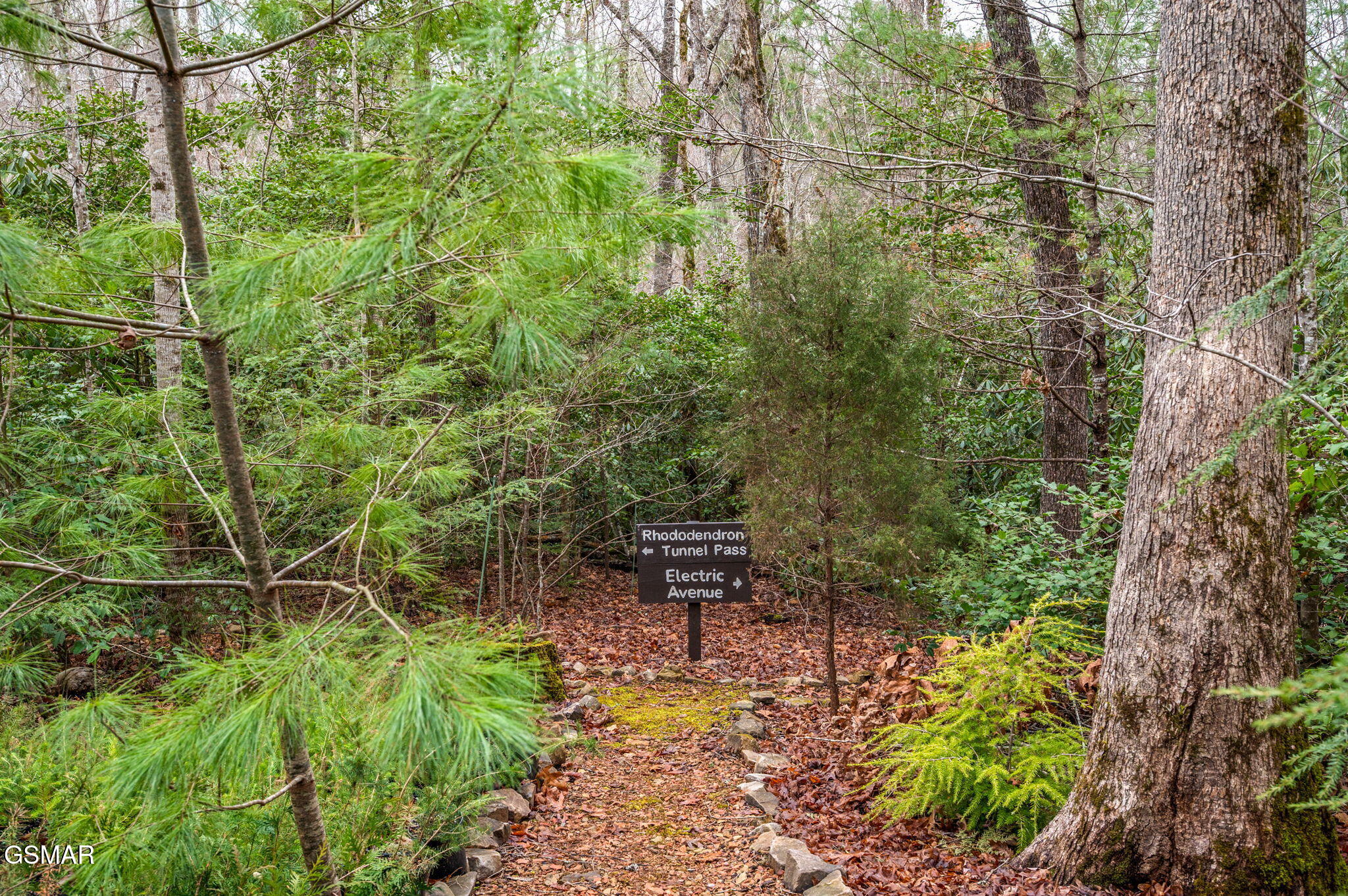 Walland, Tennessee, 37886, United States, 3 Bedrooms Bedrooms, ,4 BathroomsBathrooms,Residential,For Sale,1915065