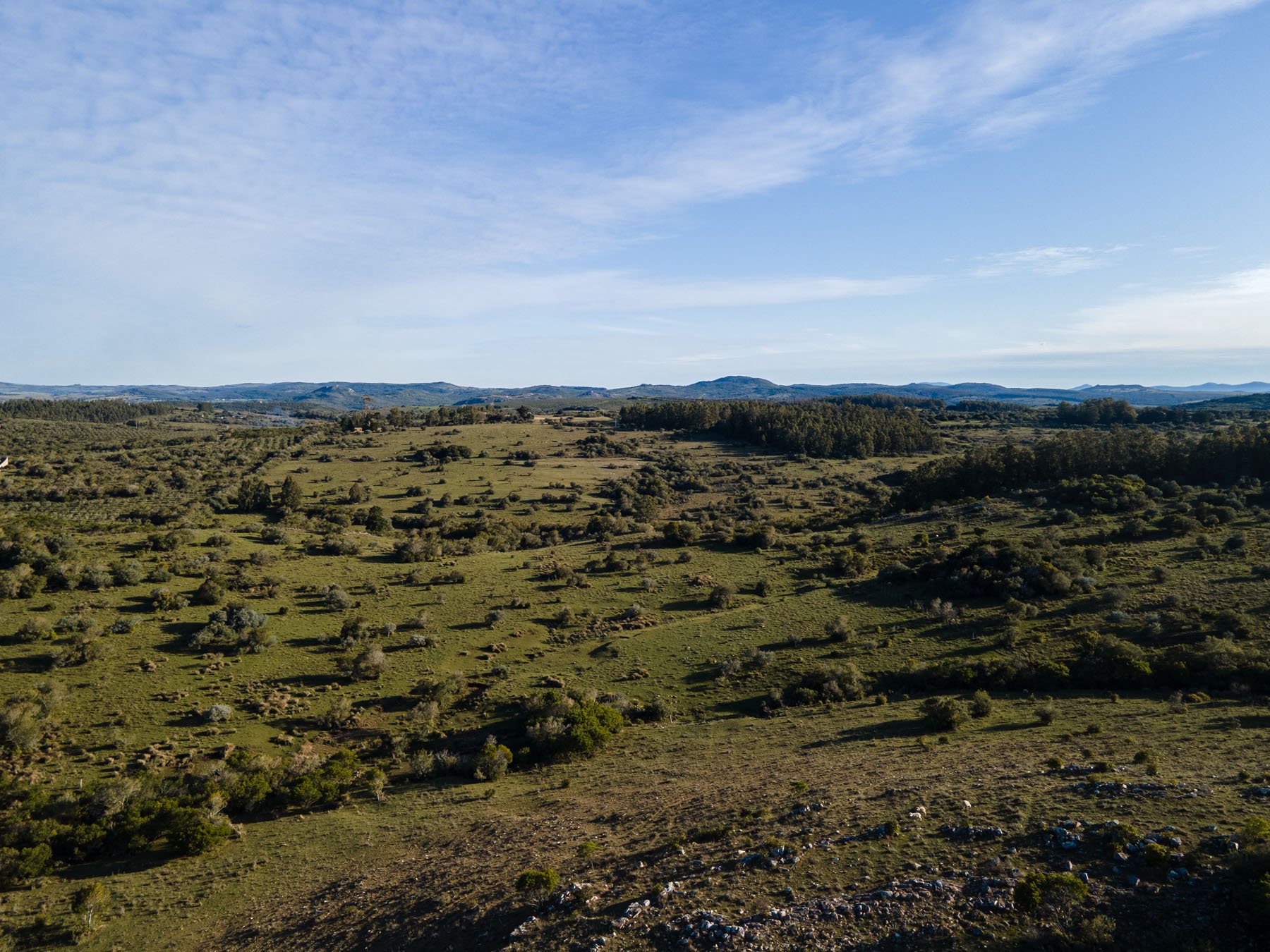  63.25 acres farm in Pueblo Edén. - 物件實景