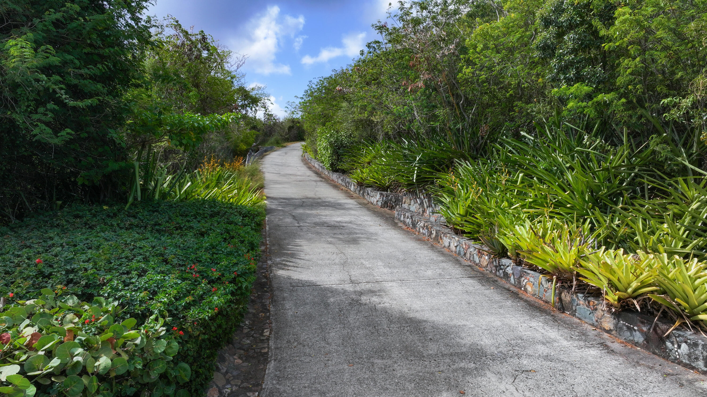  15A-9-8 Rendezvous & Ditleff, , US Virgin Islands, 00830 - 物件實景