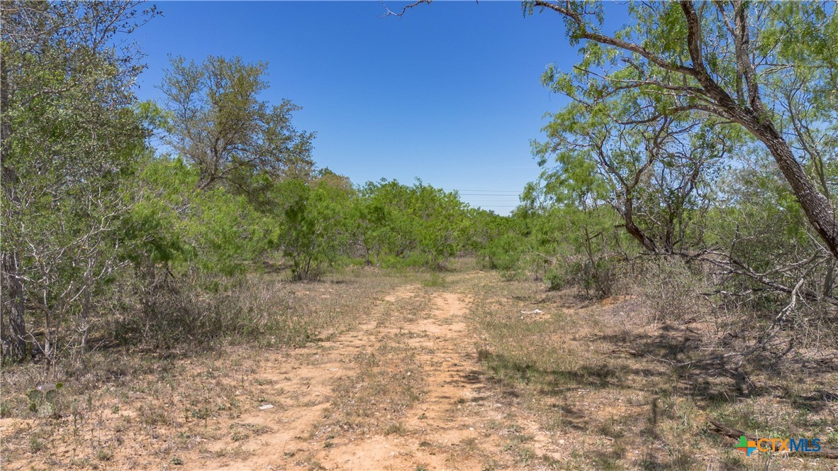 Seguin, Texas, 78155, United States, ,Land,For Sale,2048834