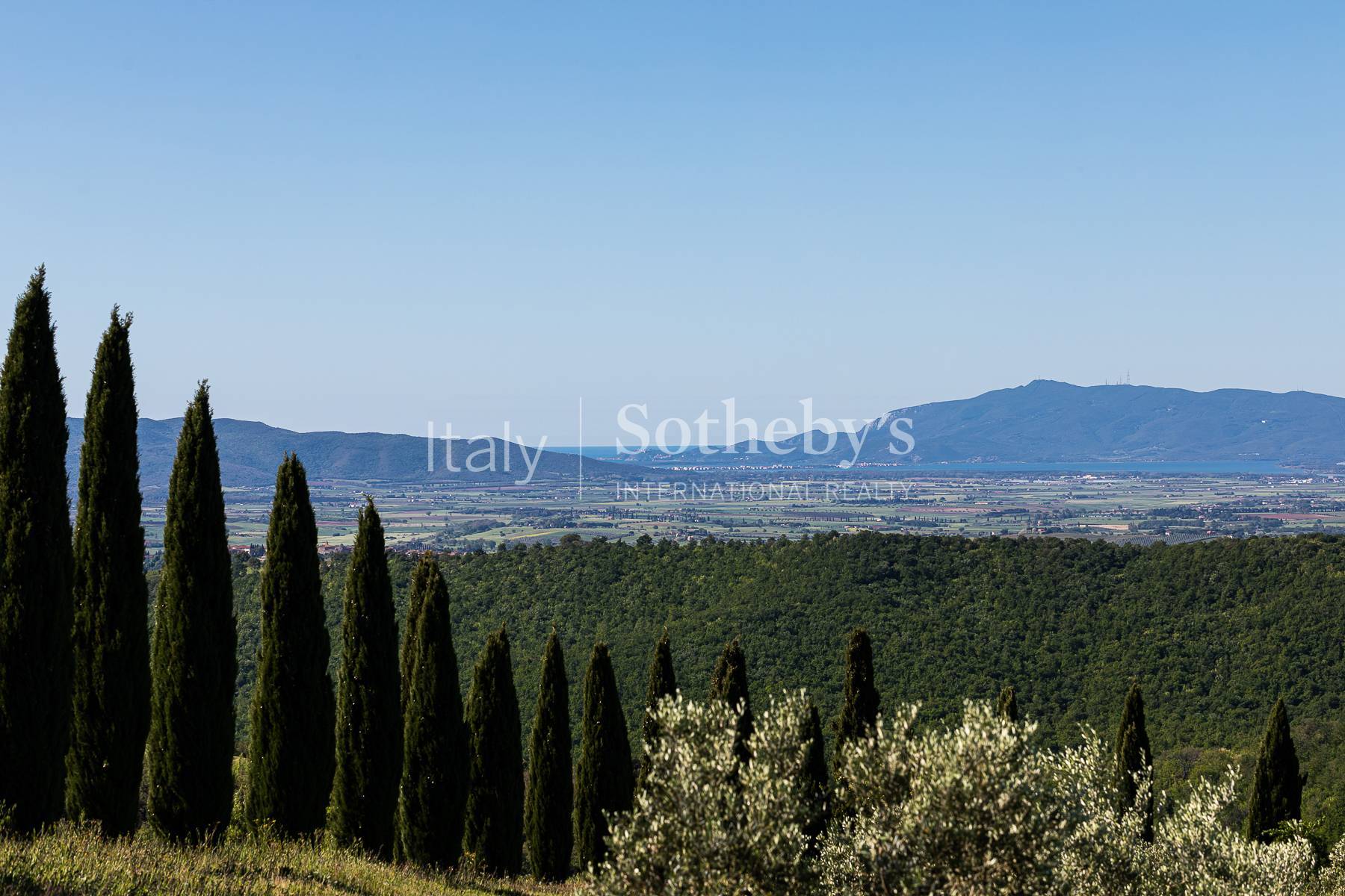  Exclusive wine estate in the Tuscan hills - 物件實景