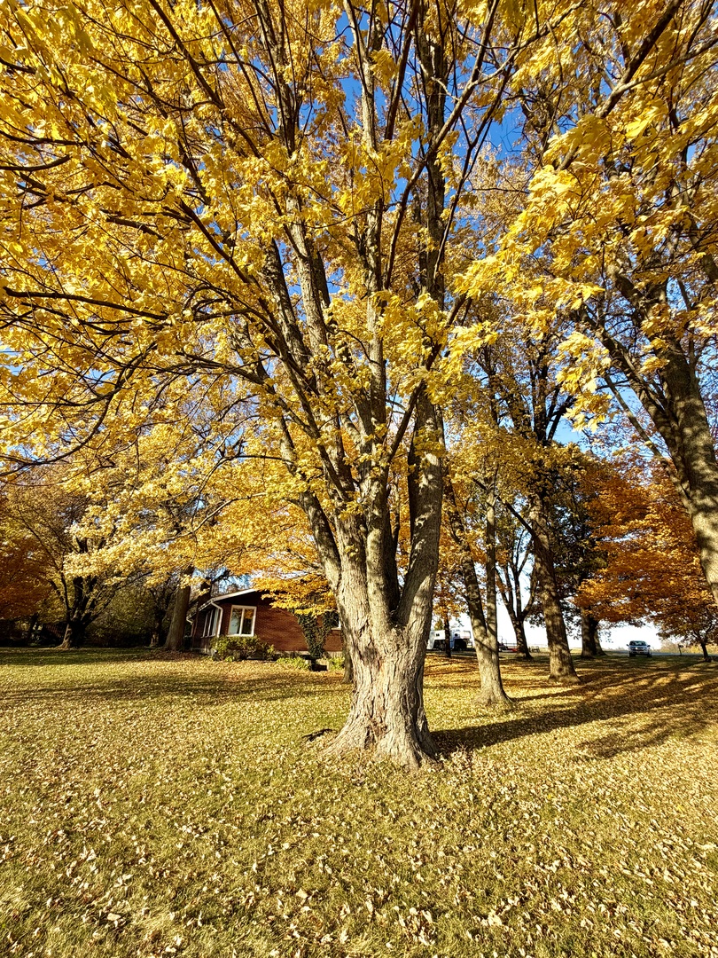 Sycamore, Illinois, 60178, United States, 4 Bedrooms Bedrooms, ,3 BathroomsBathrooms,Residential,For Sale,1988163