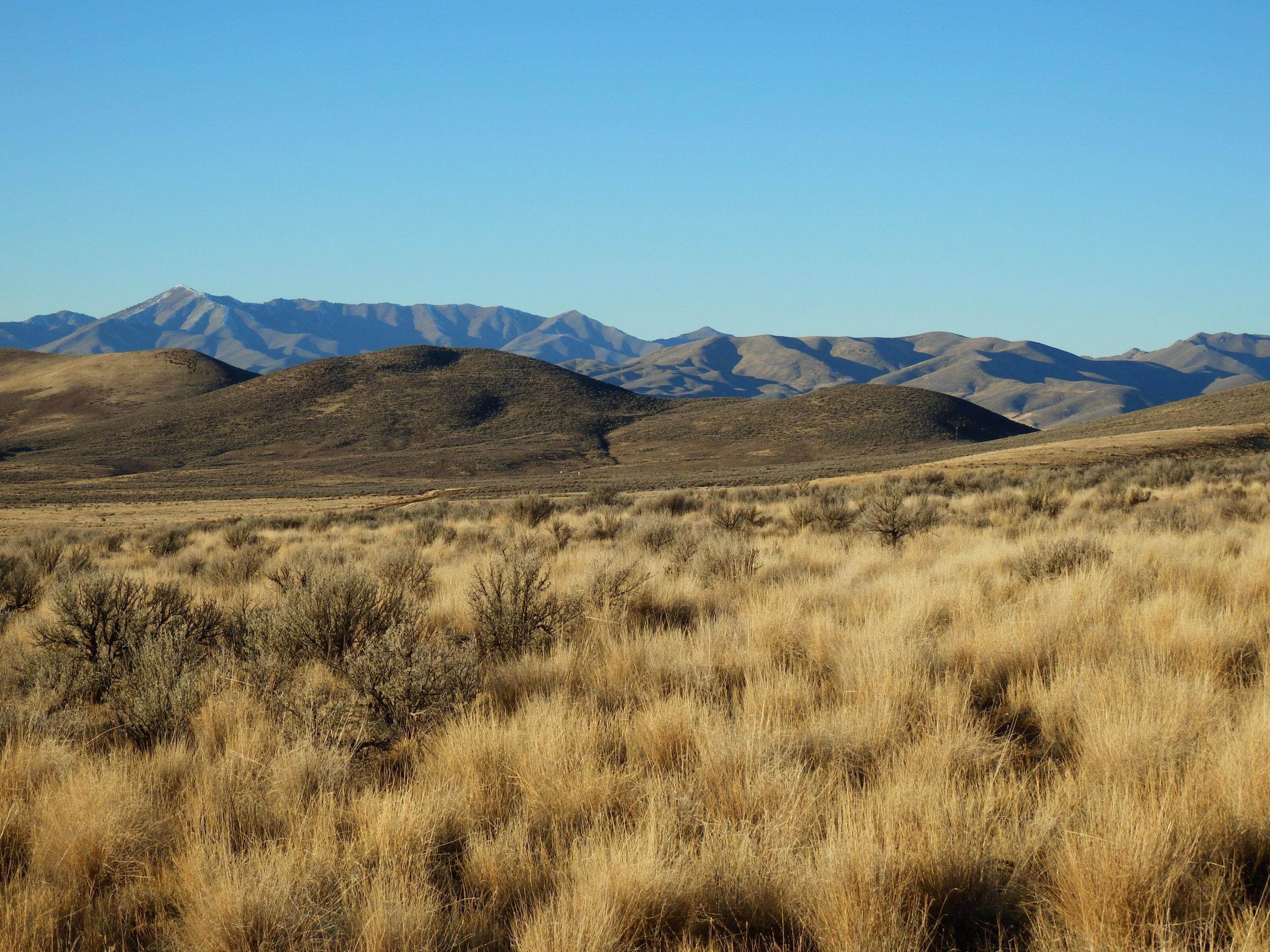 Blaine County, Idaho, 83313, United States, ,Land,For Sale,1784823