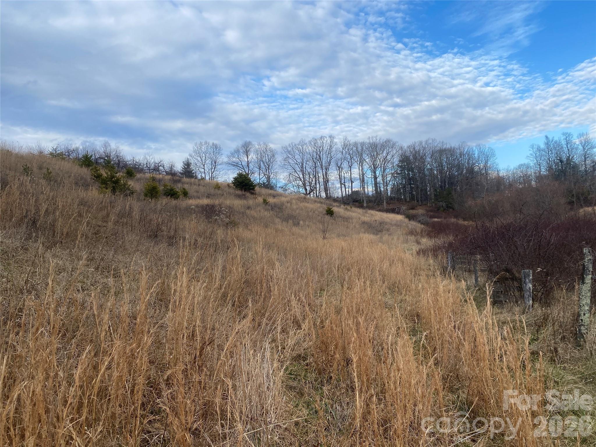 Hendersonville, North Carolina, 28792, United States, ,Land,For Sale,2010421