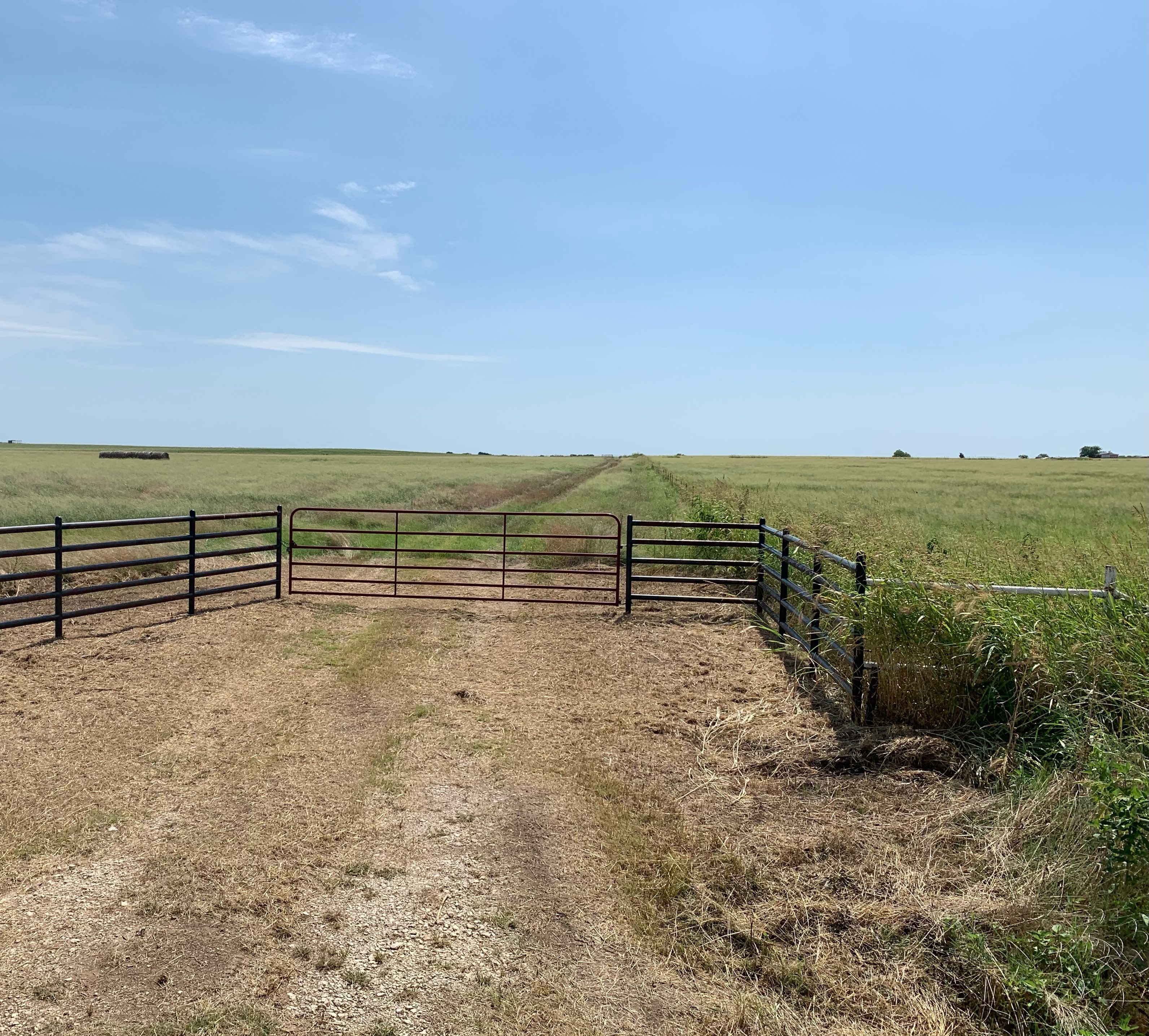 TBD Hwy 103, Nocona, Texas, 76255, United States, ,Residential,For Sale,TBD Hwy 103,1295999