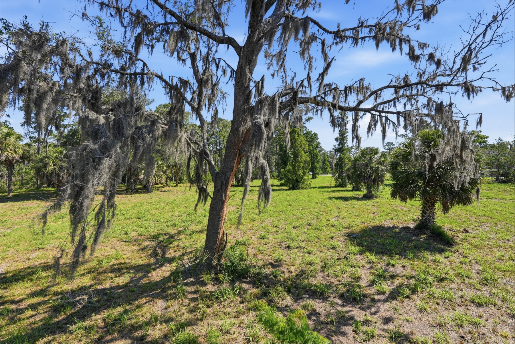  1155 Bridle Path Boulevard, Hardeeville - 物件實景