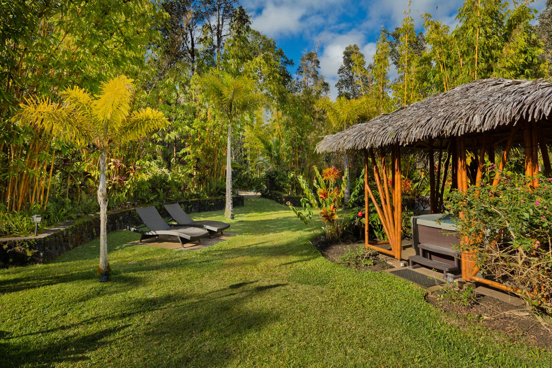  11-2884 Hibiscus Street, Mountain View, HI, 96771 - 物件實景