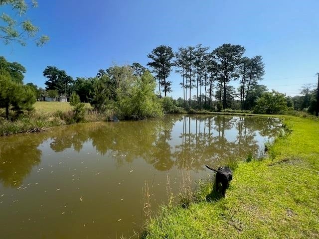 Andalusia, Alabama, 36421, United States, 6 Bedrooms Bedrooms, ,4 BathroomsBathrooms,Residential,For Sale,1793704