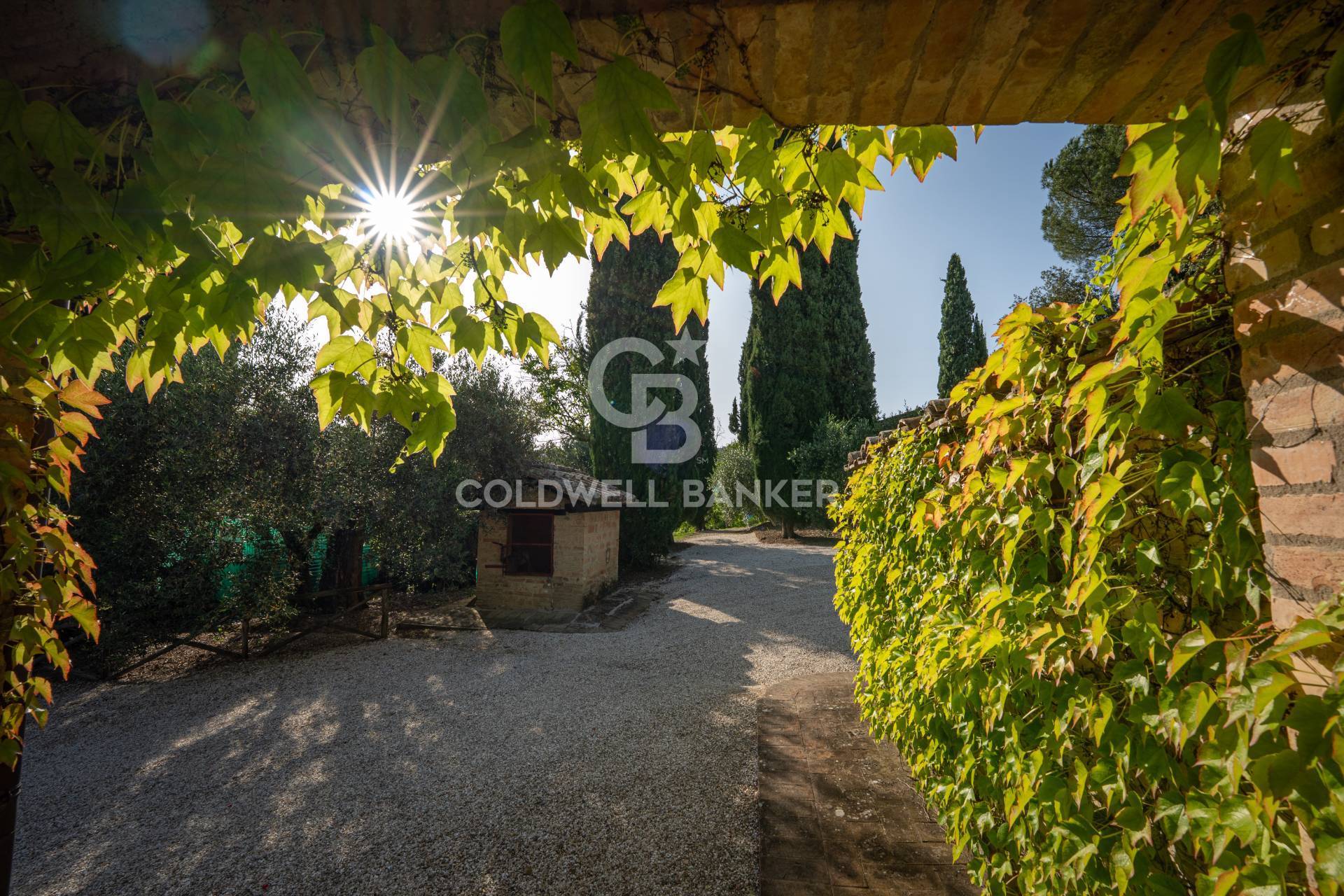 Perugia, Perugia, 06100, IT, 6 Bedrooms Bedrooms, ,3 BathroomsBathrooms,Residential,For Sale,1883691