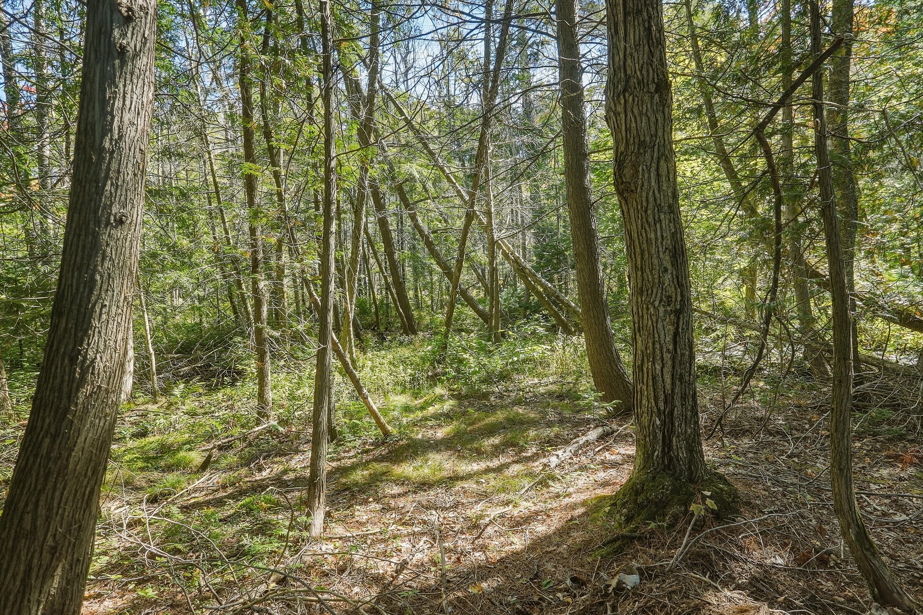  Beautiful Bayview Acres - 物件實景