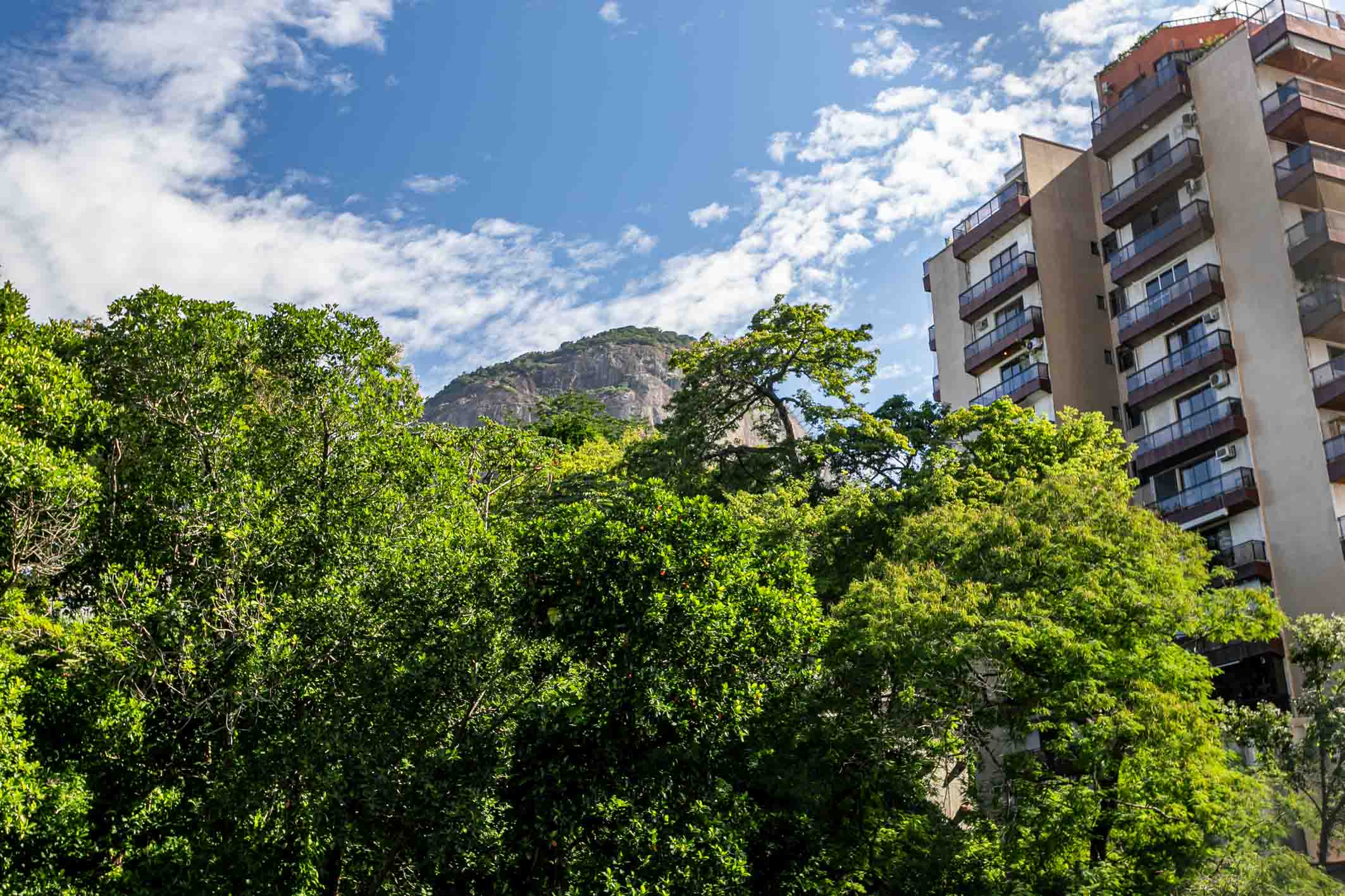  Apartment in Leblon with views of Cristo Redentor and Lagoa - 物件實景