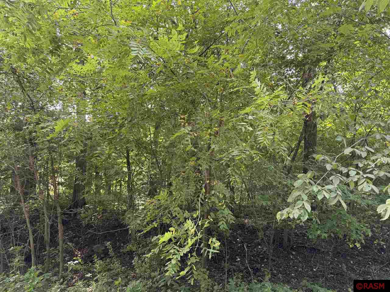 North Mankato, Minnesota, 56003, United States, ,Land,For Sale,1977593