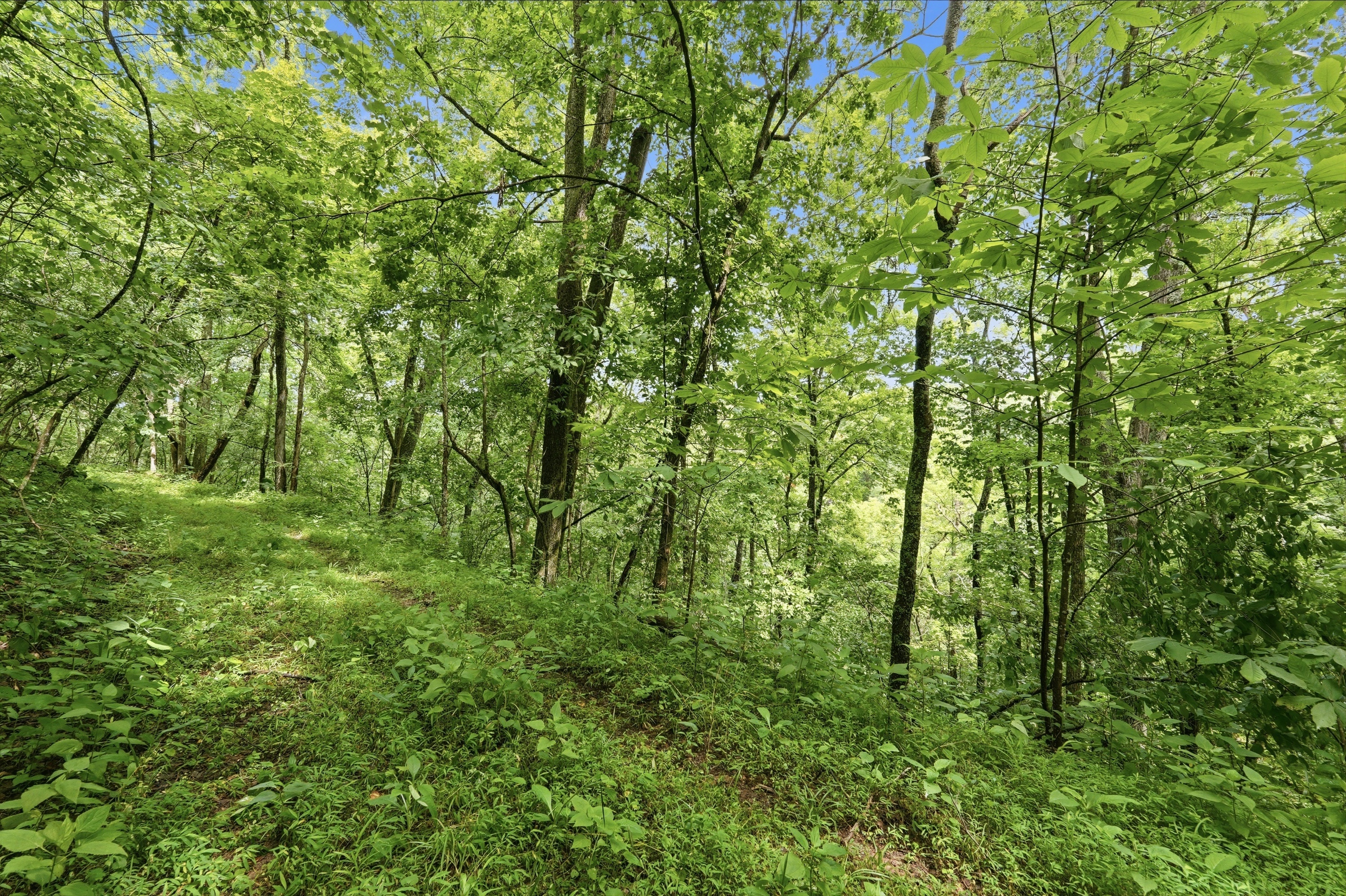  3850 Smith Lane, La Grange, KY 40031 - 物件實景