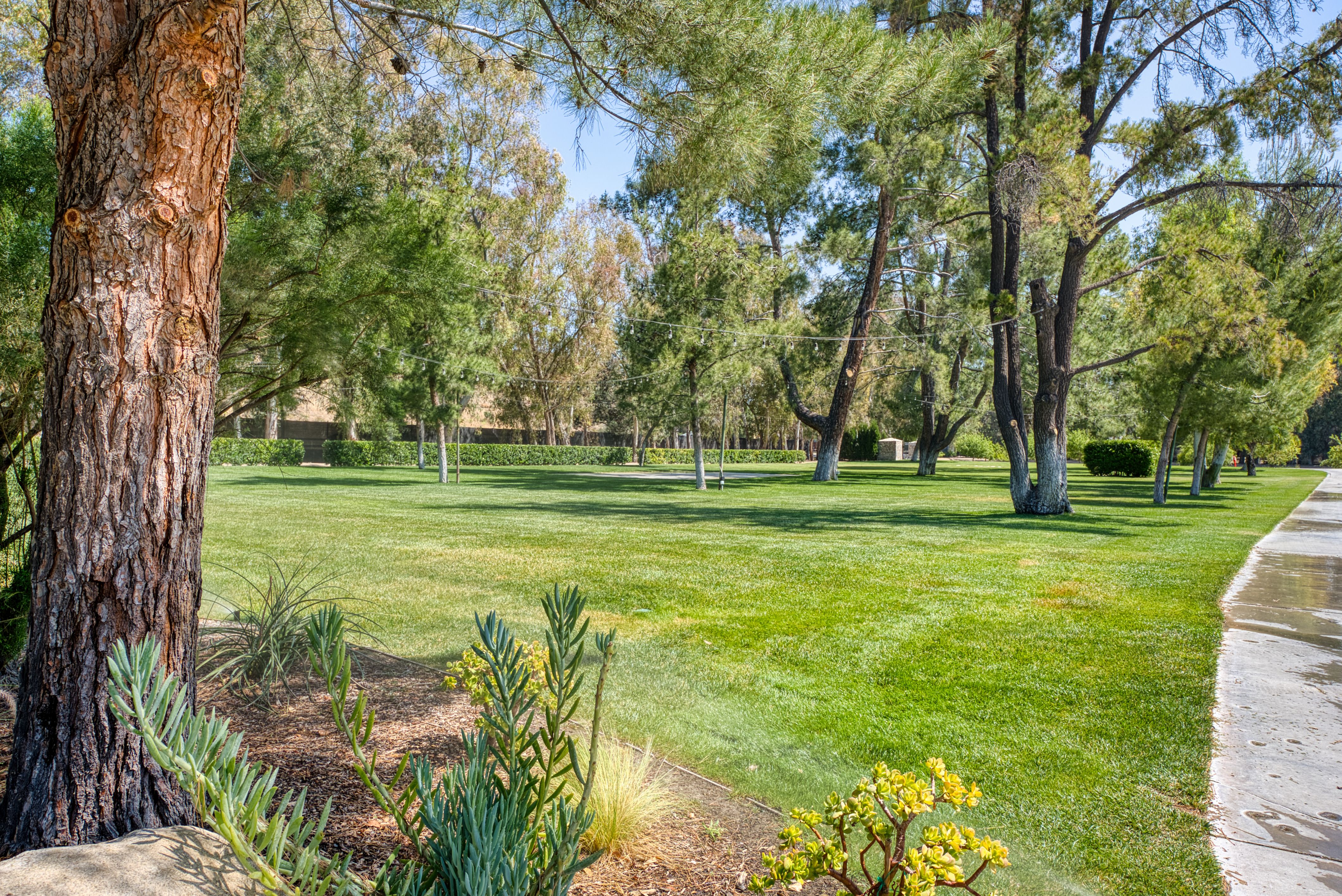  15142 Sierra Highway, Canyon Country, CA 91390 - 物件實景