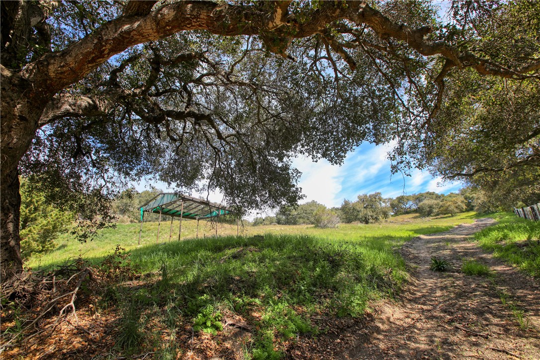 Arroyo Grande, California, 93420, United States, 3 Bedrooms Bedrooms, ,1 BathroomBathrooms,Residential,For Sale,1791624