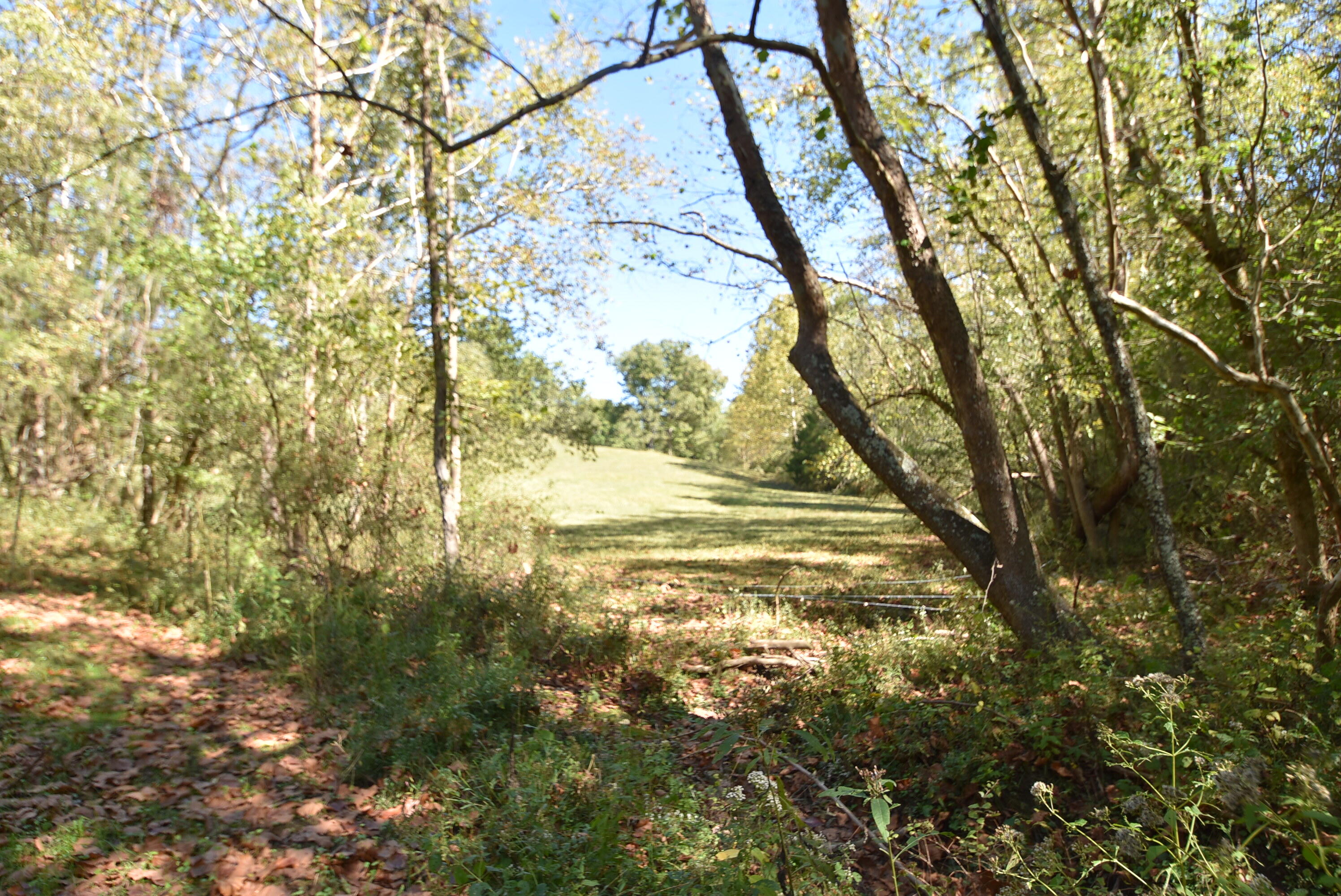 Willisburg, Kentucky, 40078, United States, 4 Bedrooms Bedrooms, ,1 BathroomBathrooms,Residential,For Sale,1962831