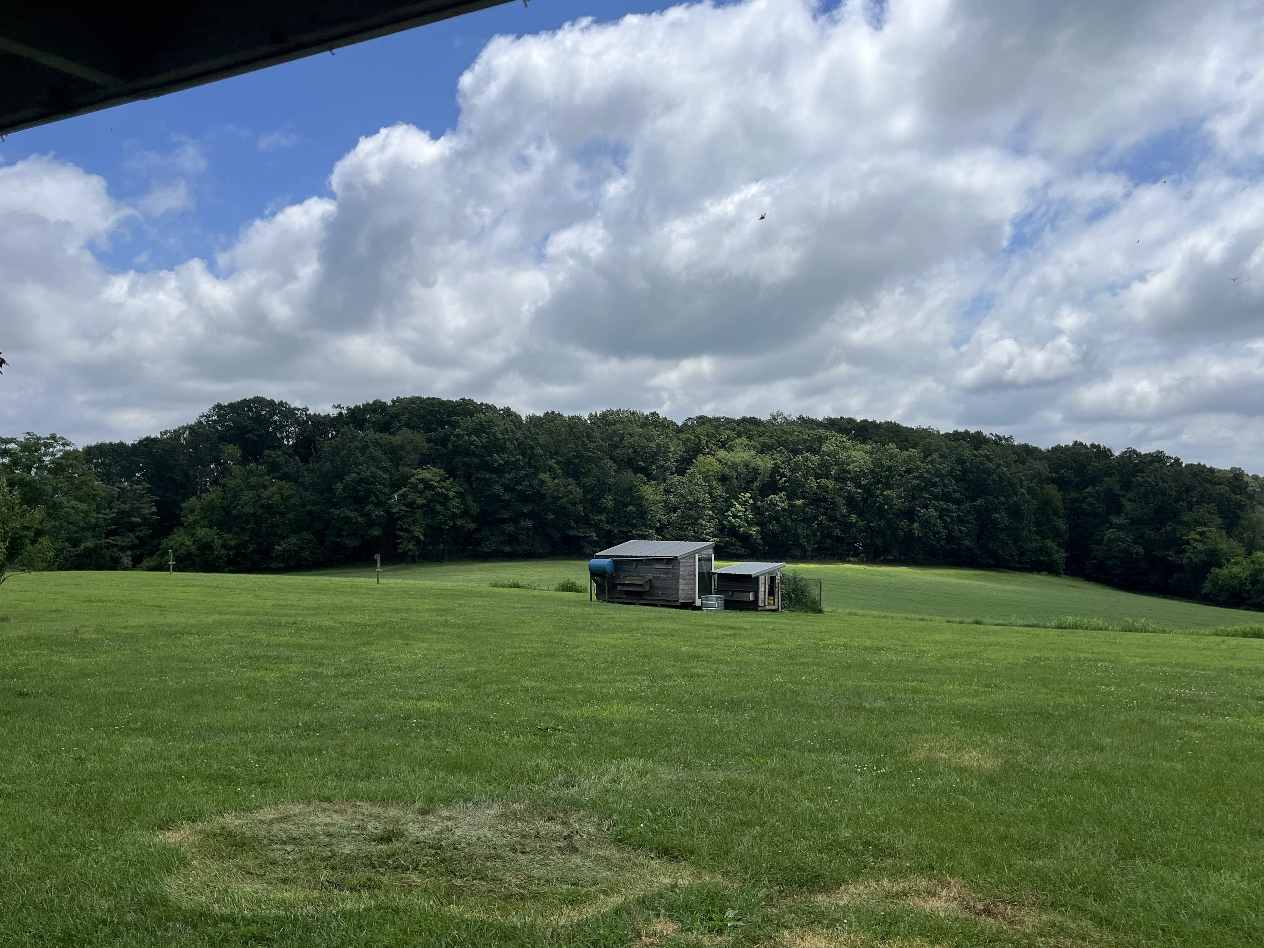 Reading, Pennsylvania, 19606, United States, 4 Bedrooms Bedrooms, ,3 BathroomsBathrooms,Residential,For Sale,1979384