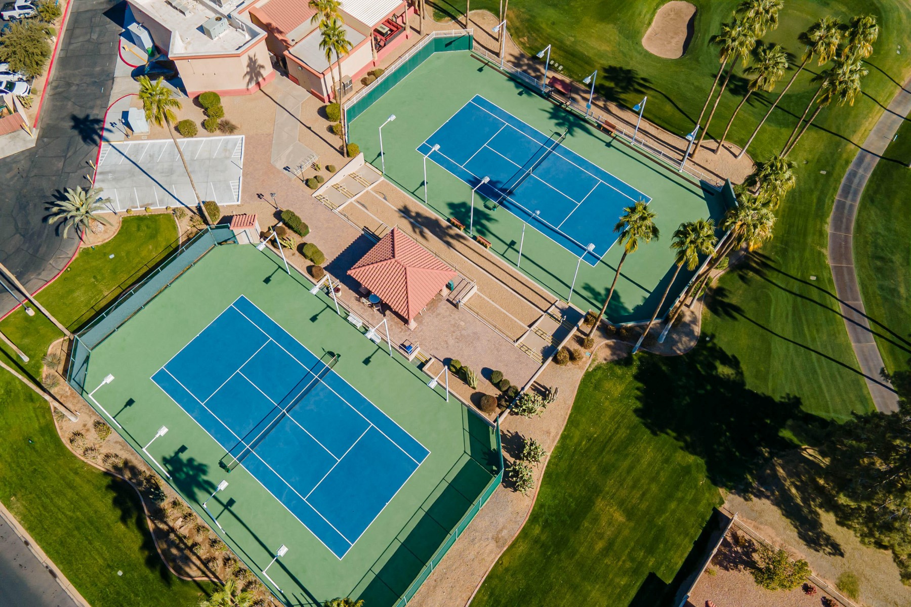  26202 S Flame Tree Drive  Sun Lakes, AZ - 物件實景