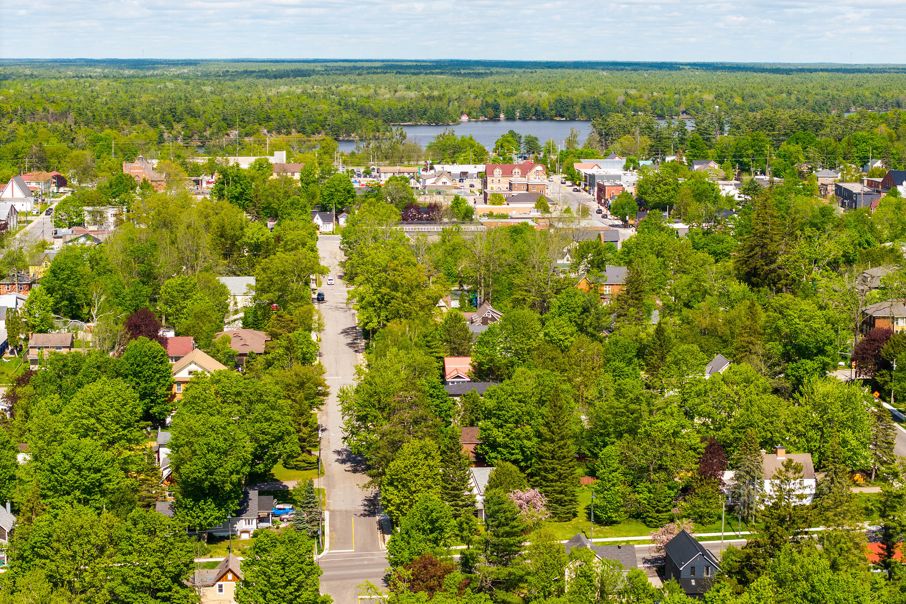  Privacy And Muskoka Charm - 物件實景