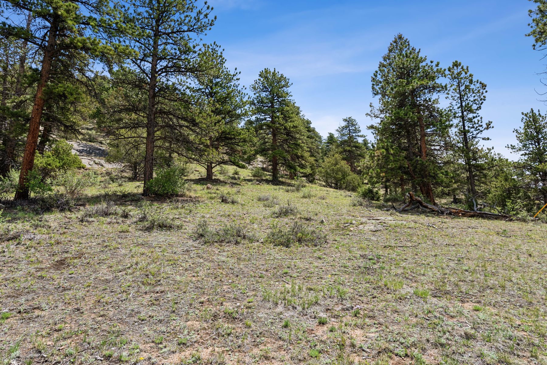  Exclusive Opportunity in Estes Park - 21.78 Acres in Uplands at Fish Creek - 物件實景
