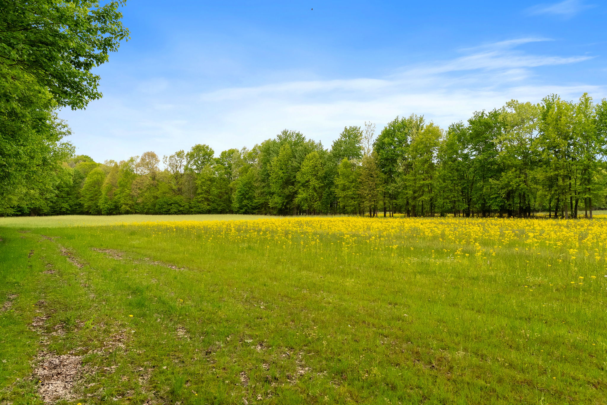Rosedale, Indiana, 47874, United States, ,Land,For Sale,2049036