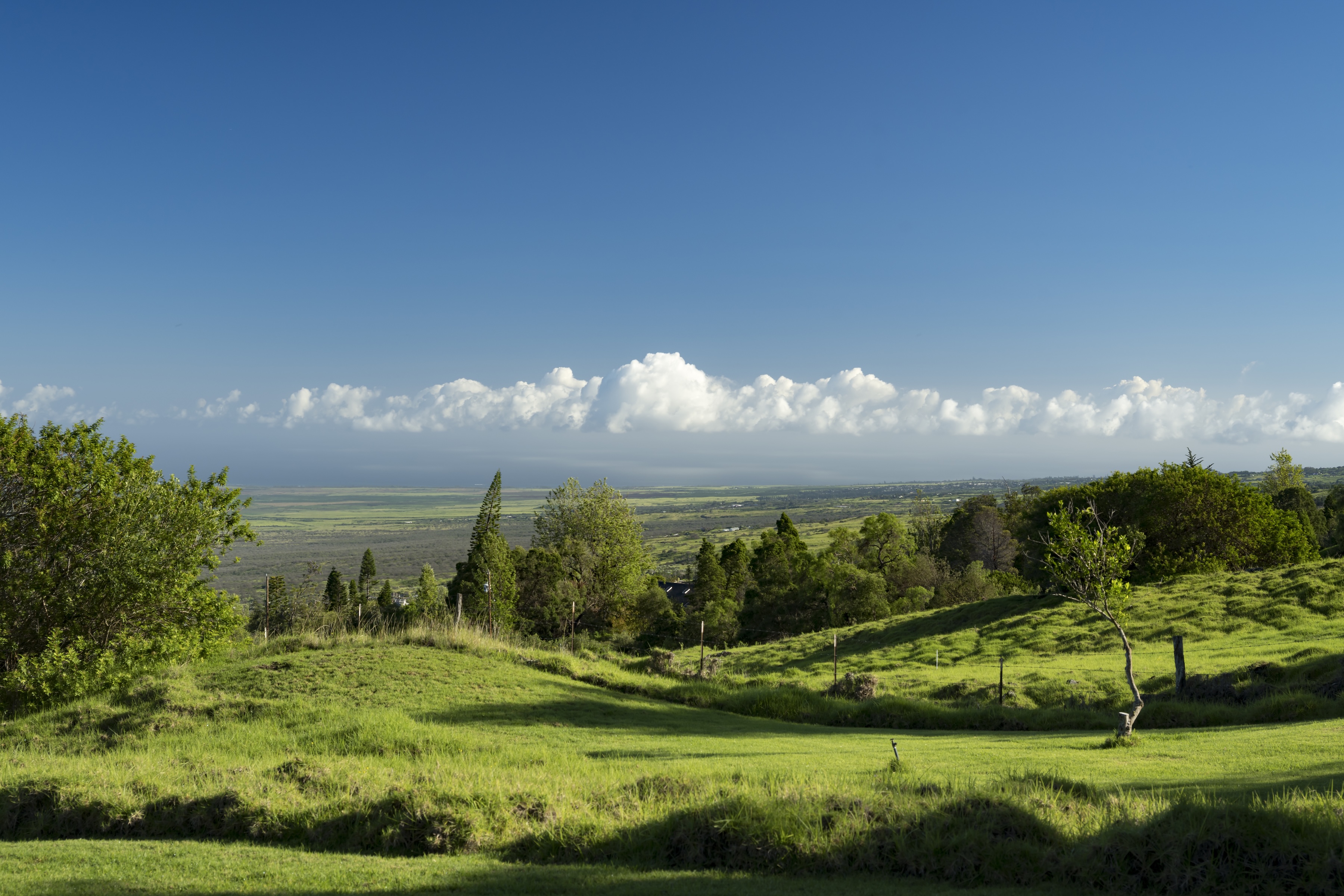  Private Kula estate on expansive acreage with panoramic Maui views - 物件實景