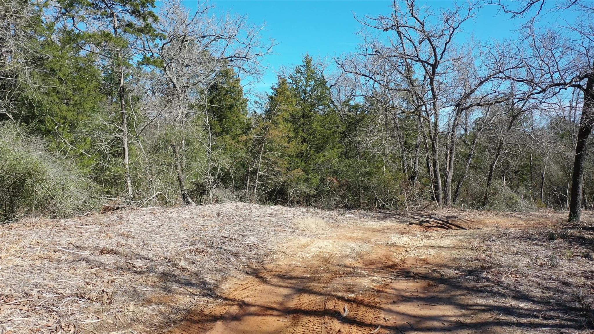 1151 Fowler Road, Bremond, Texas, 76629, United States, ,Land,For Sale,1151 Fowler Road,1621605