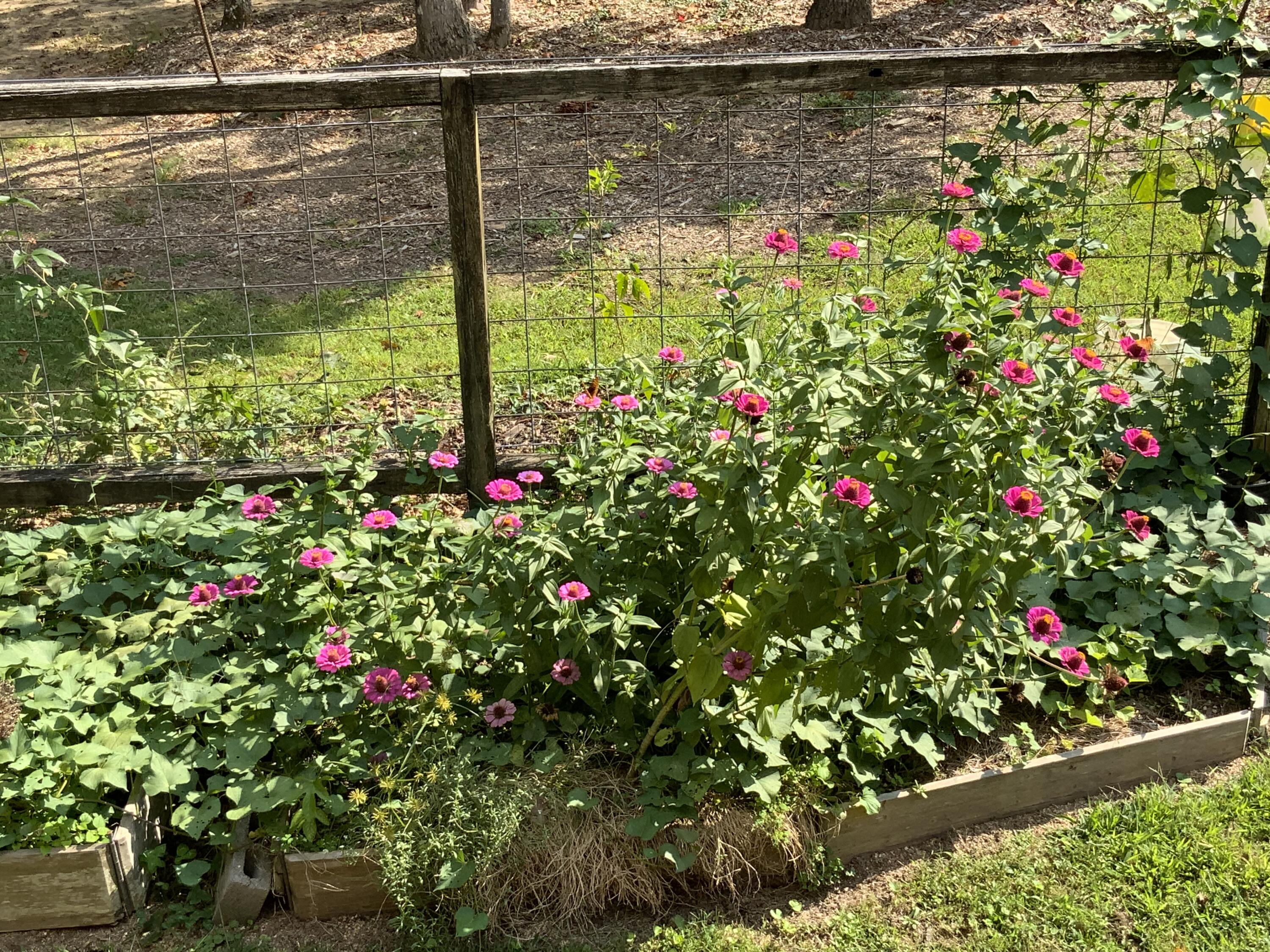 Tracy City, Tennessee, 37387, United States, 3 Bedrooms Bedrooms, ,Residential,For Sale,1979741