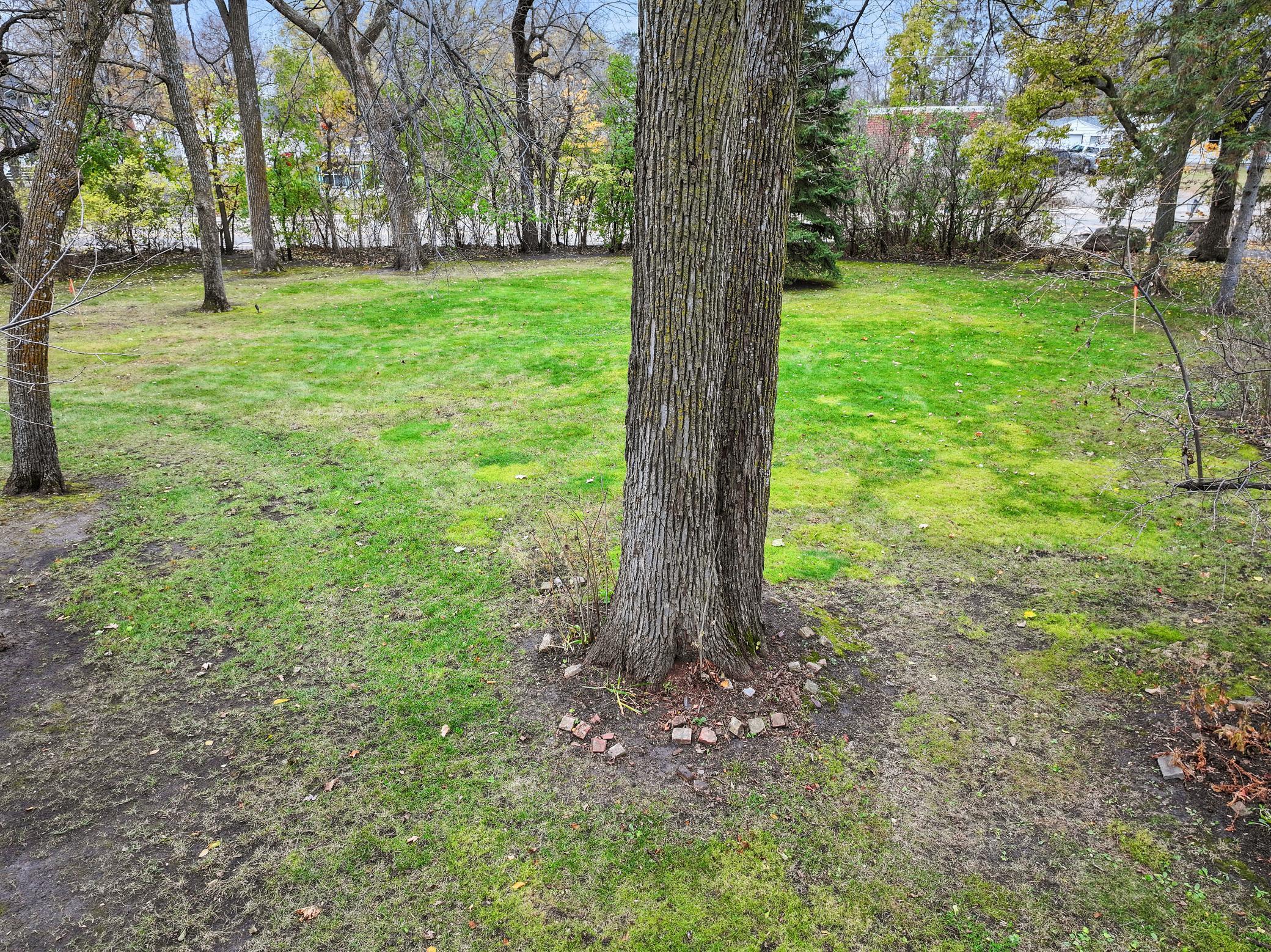 Alexandria, Minnesota, 56308, United States, ,Land,For Sale,1990992