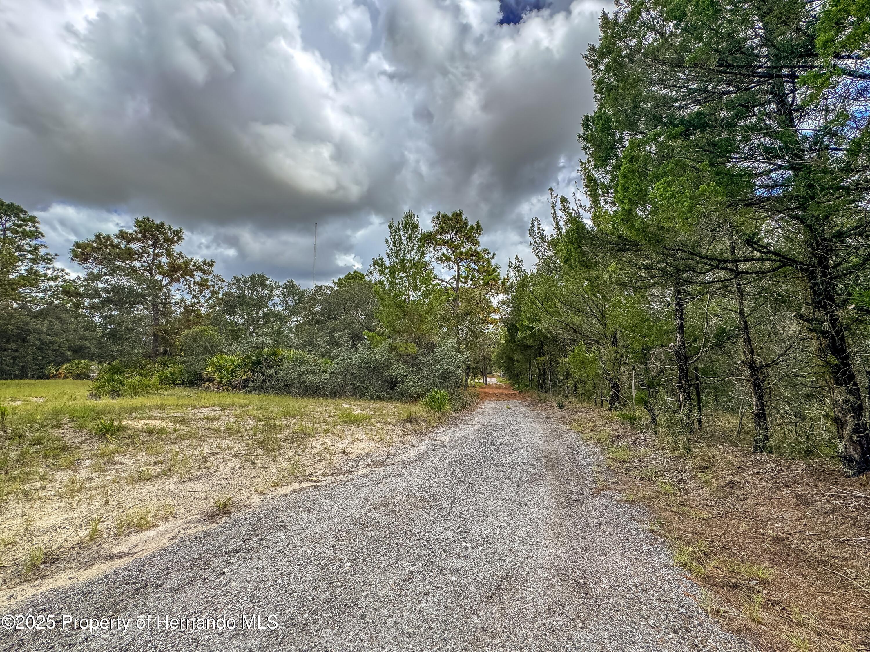 Brooksville, Florida, 34613, United States, 4 Bedrooms Bedrooms, ,2 BathroomsBathrooms,Residential,For Sale,1975088