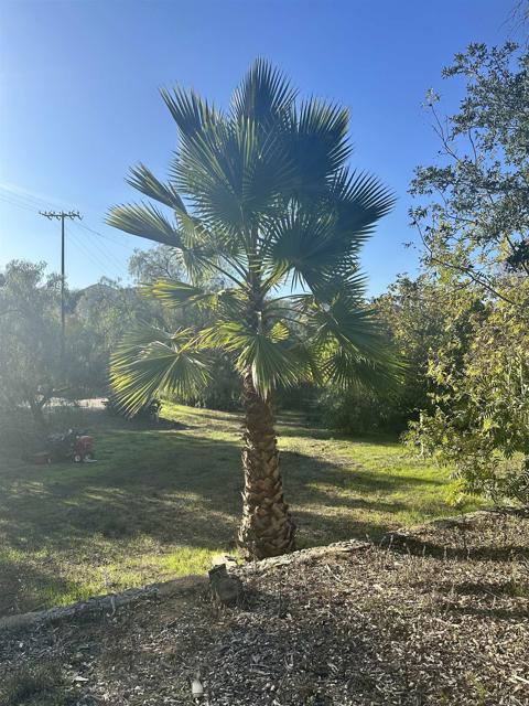 Escondido, California, 92029, United States, 4 Bedrooms Bedrooms, ,3 BathroomsBathrooms,Residential,For Sale,2005575