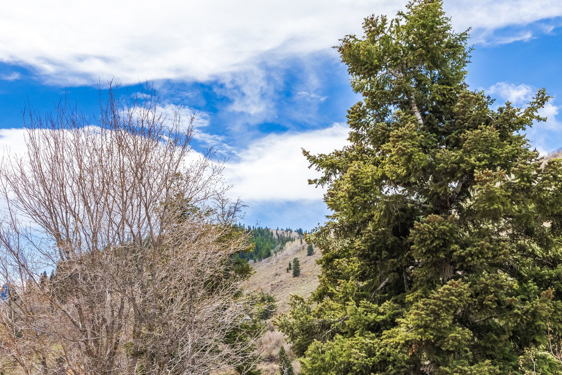  A Diamond in the Rough in Old Town Park City - 物件實景