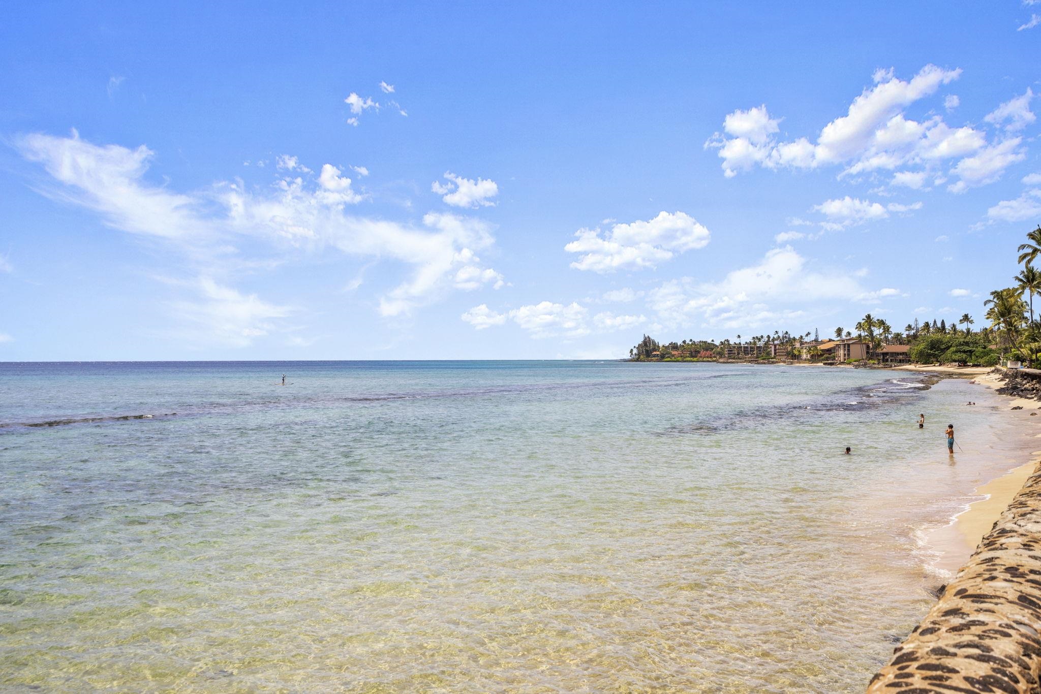 Lahaina, Hawaii, 96761, United States, 2 Bedrooms Bedrooms, ,1 BathroomBathrooms,Residential,For Sale,1848702