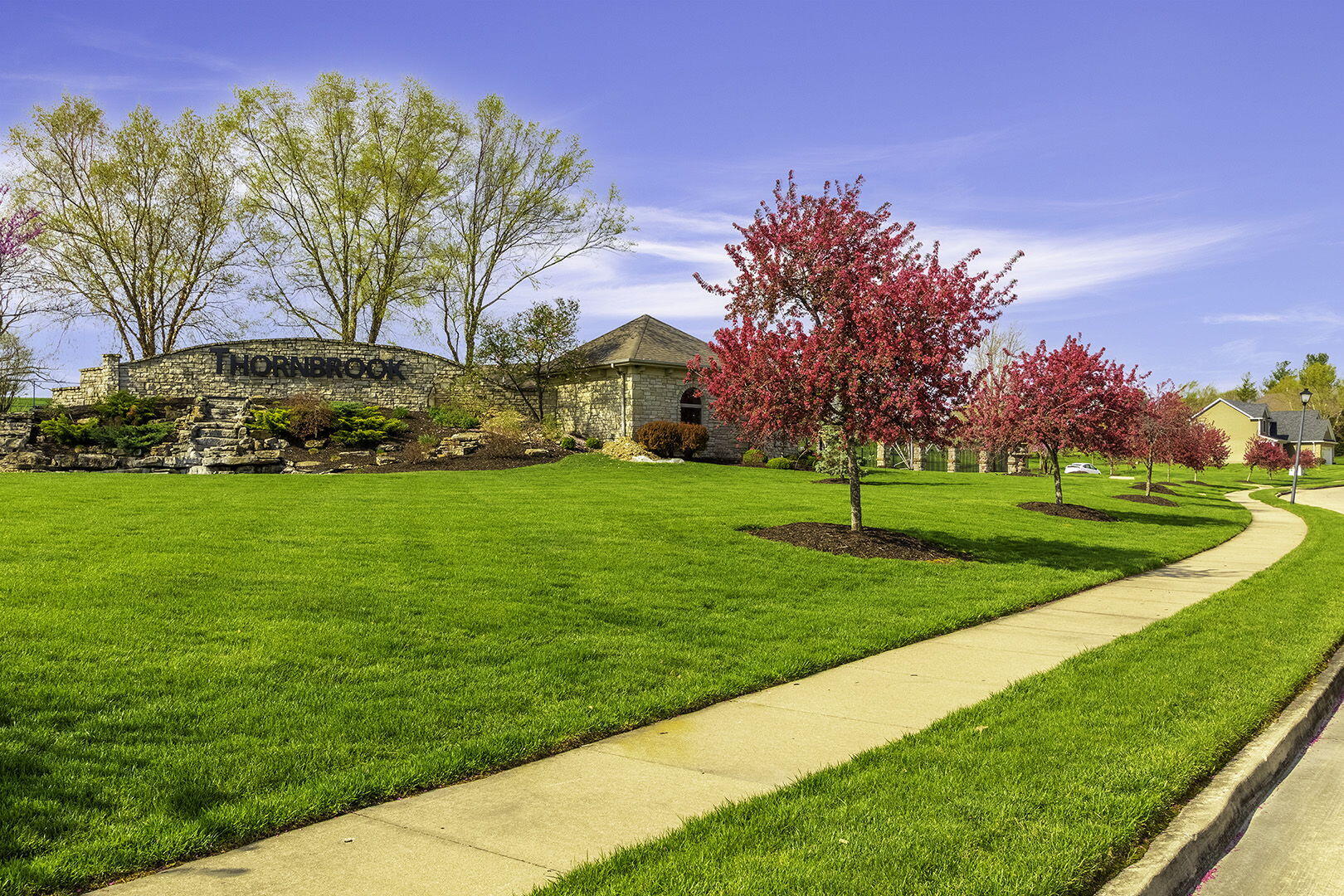 COLUMBIA, Missouri, 65203, United States, 5 Bedrooms Bedrooms, ,3 BathroomsBathrooms,Residential,For Sale,2023724
