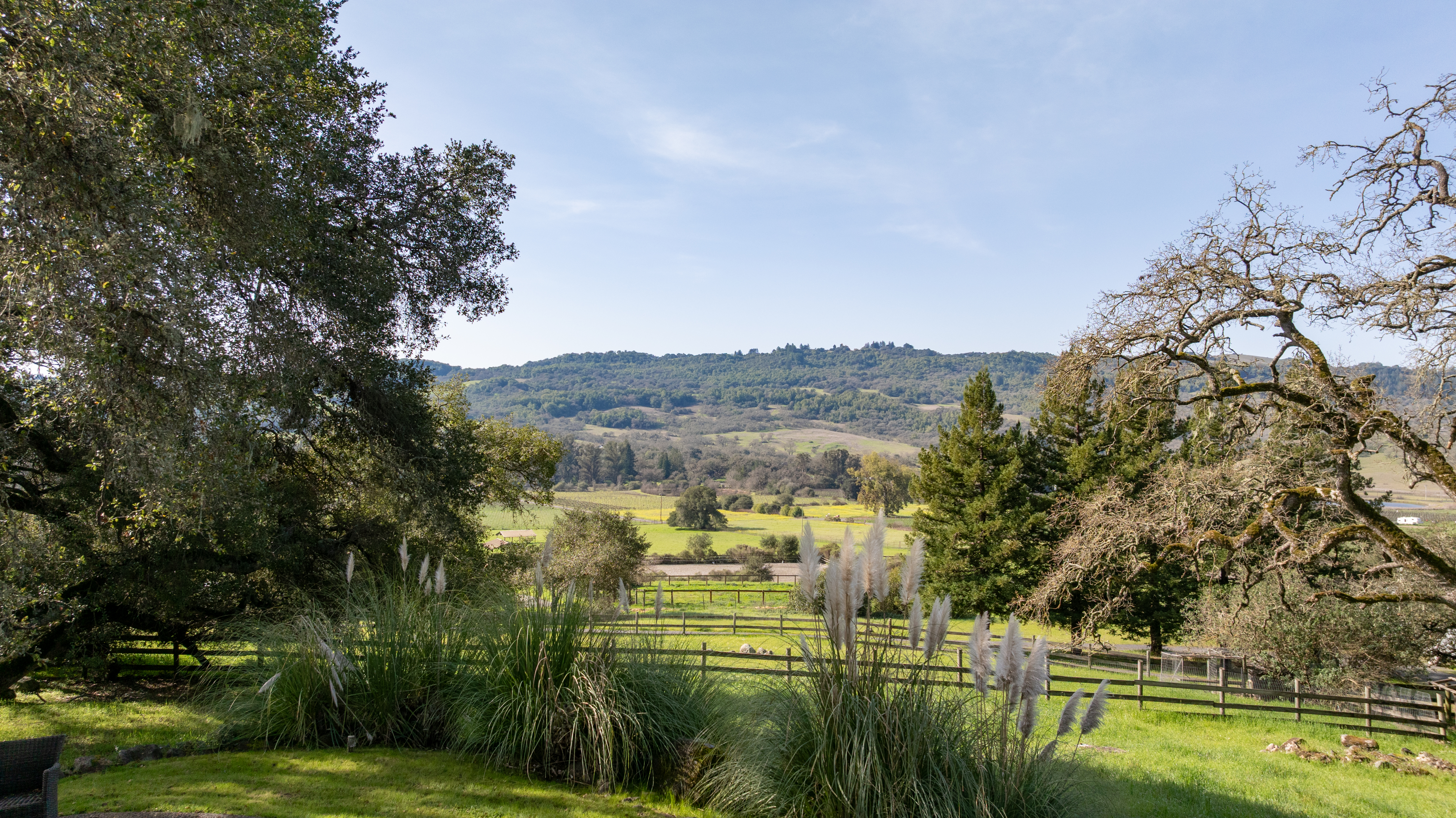  Mid-Century Contemporary Gem on 33 Acres - 物件實景