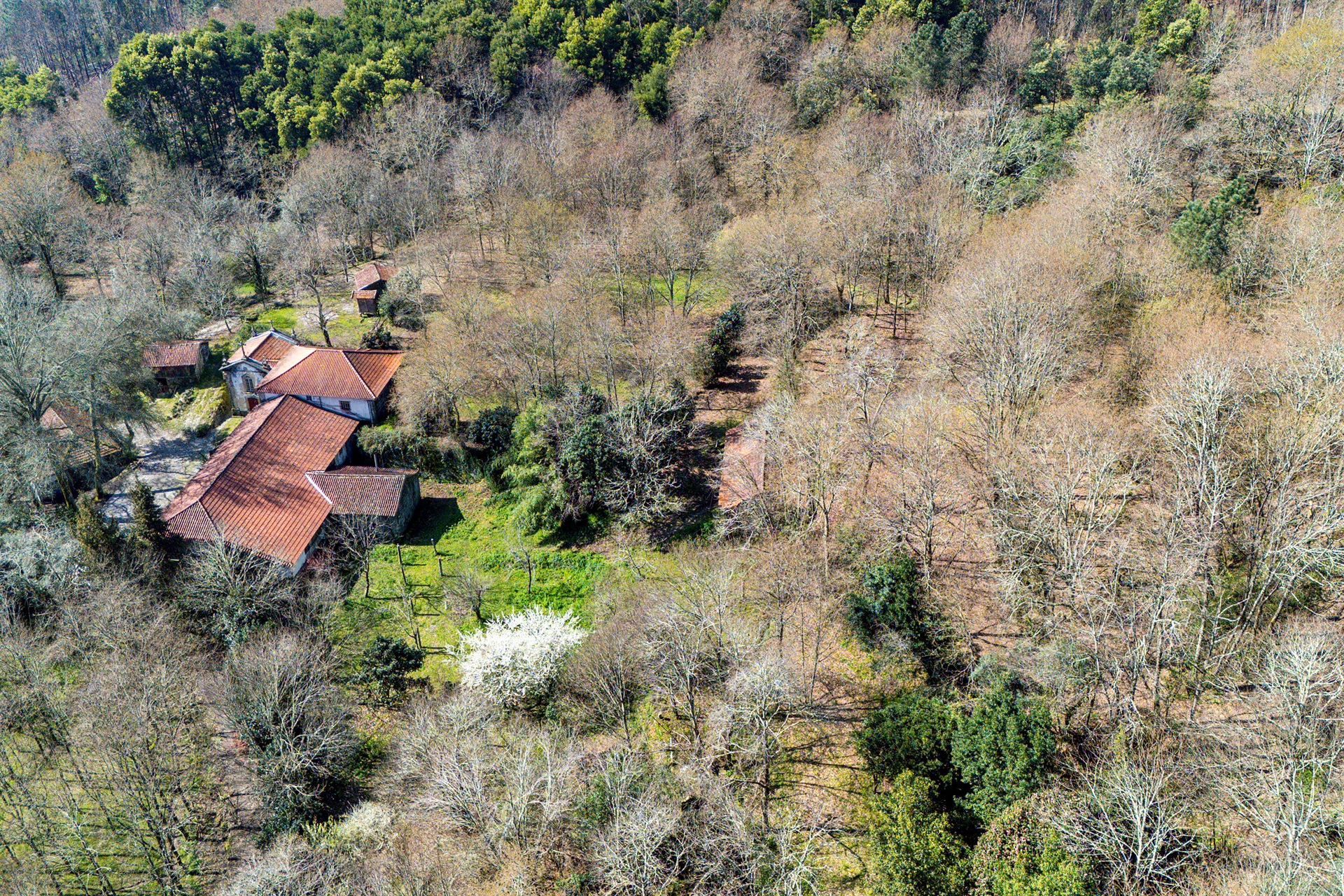  Farm for Sale - 物件實景