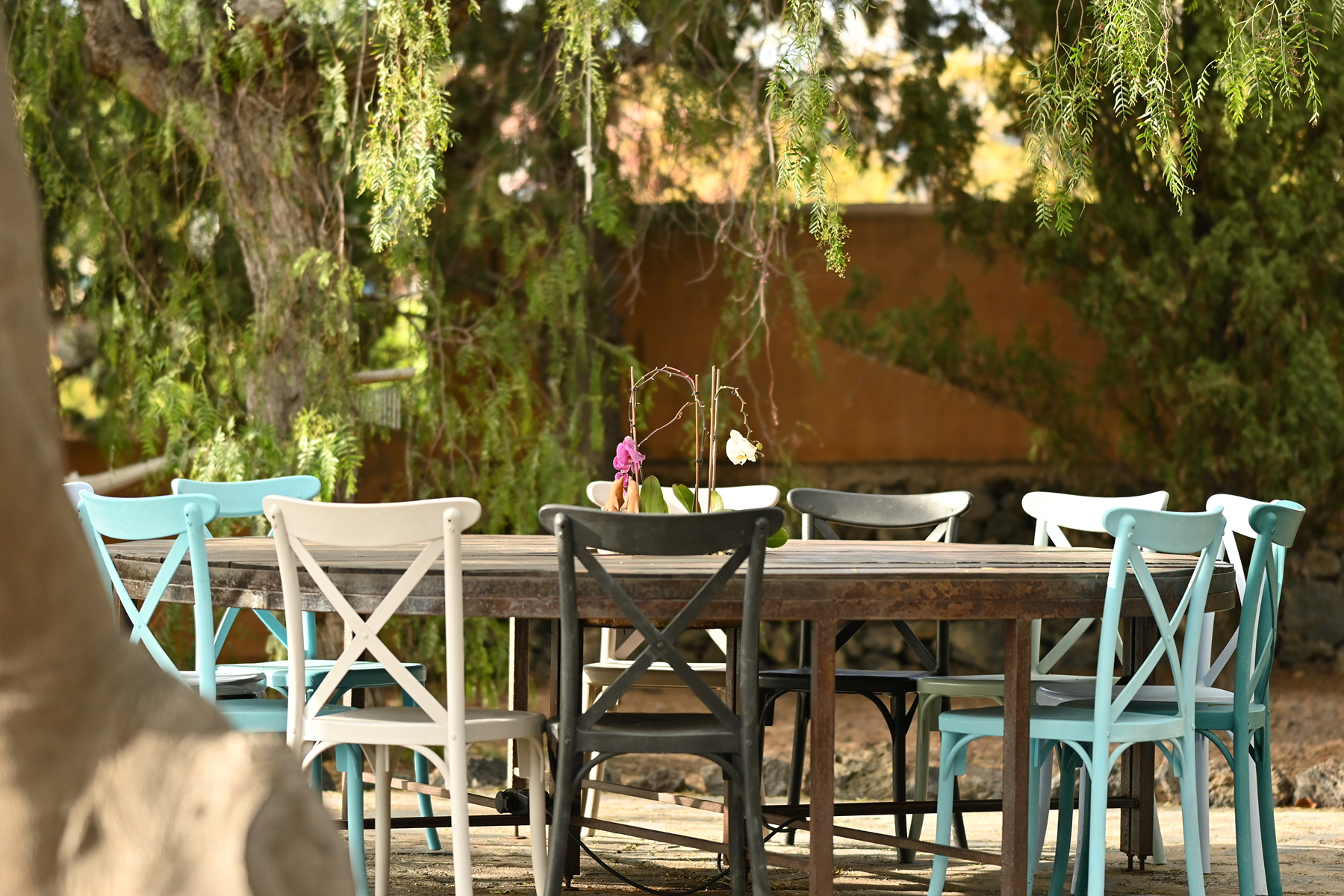  Boutique Style Residential Complex in Los Llanos de Aridane - 物件實景