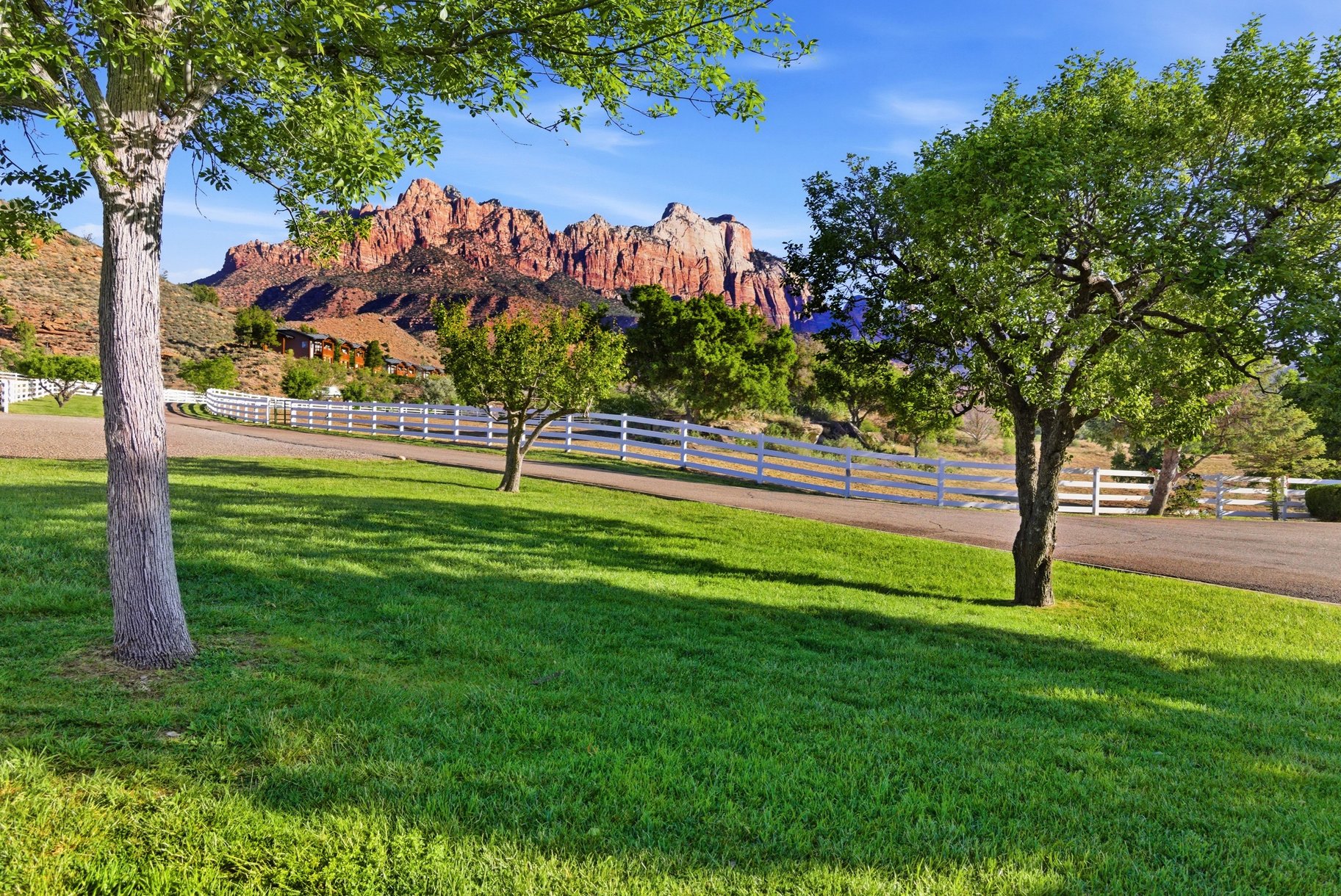  15 Acres of the Legendary Trees Ranch - 物件實景