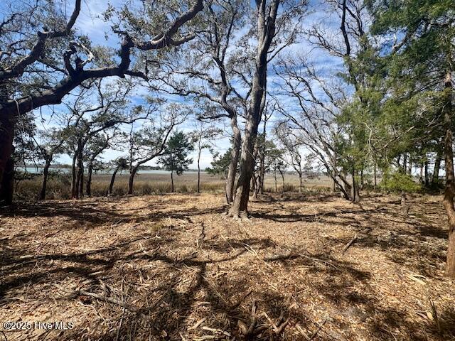 Supply, North Carolina, 28462, United States, ,Land,For Sale,1743684