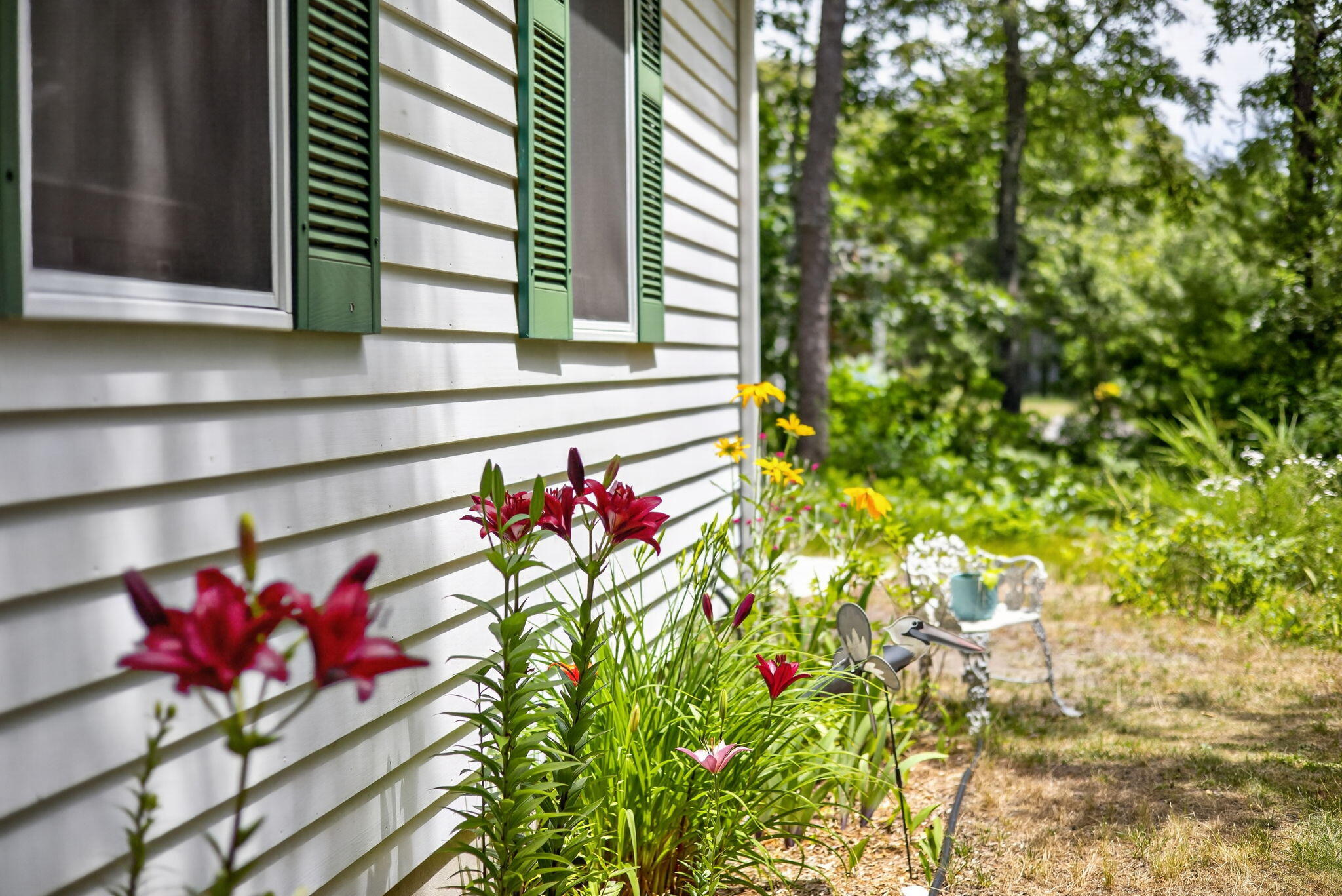  33 Duck Marsh Lane, Chatham, MA, 02633 - 物件實景