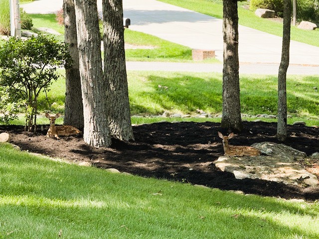 Crossville, Tennessee, 38558, United States, 3 Bedrooms Bedrooms, ,4 BathroomsBathrooms,Residential,For Sale,1980171