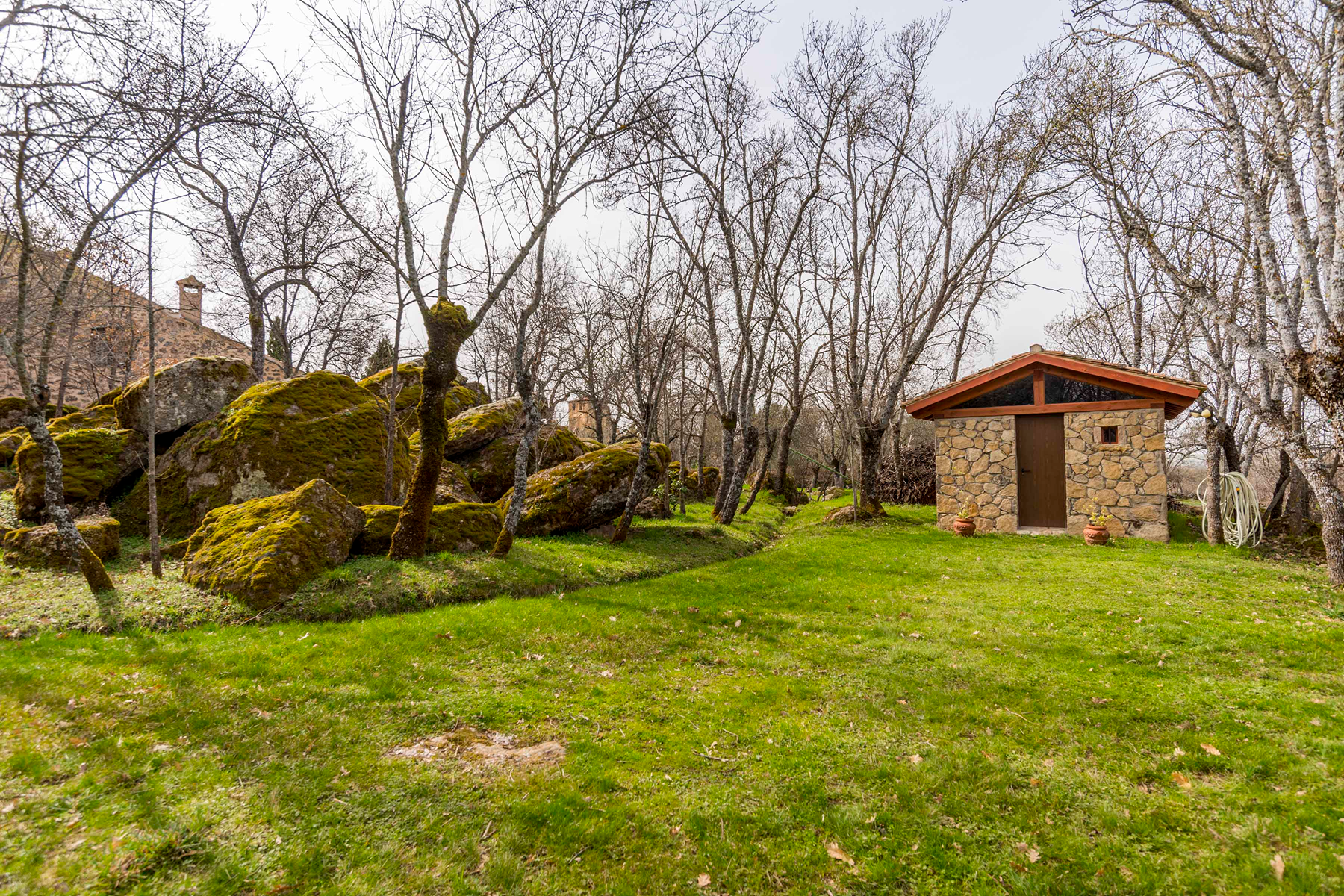  Spectacular estate for promotion in Sotosalbos, Segovia - 物件實景