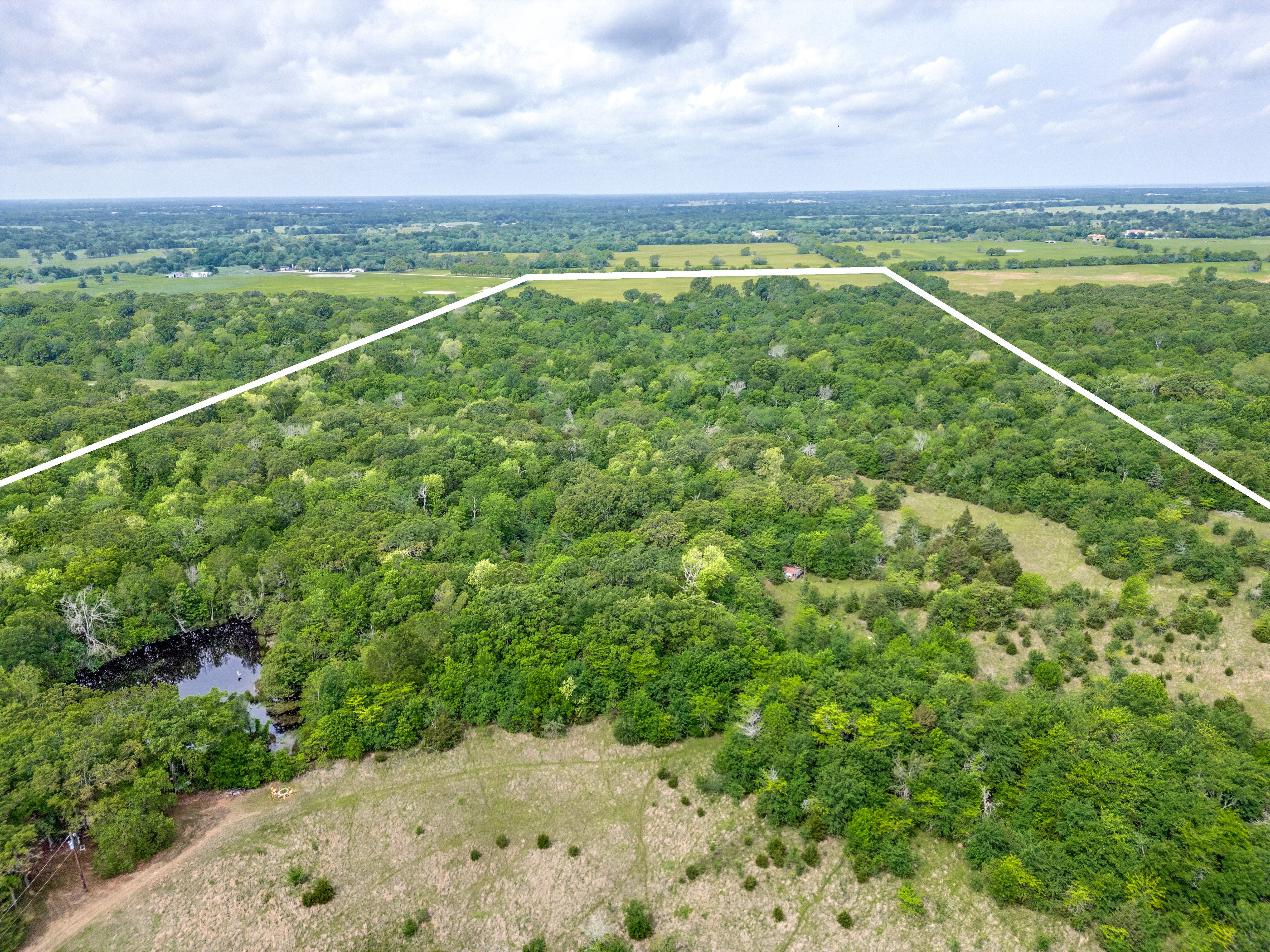  78 Acres in Sulphur Springs - 物件實景