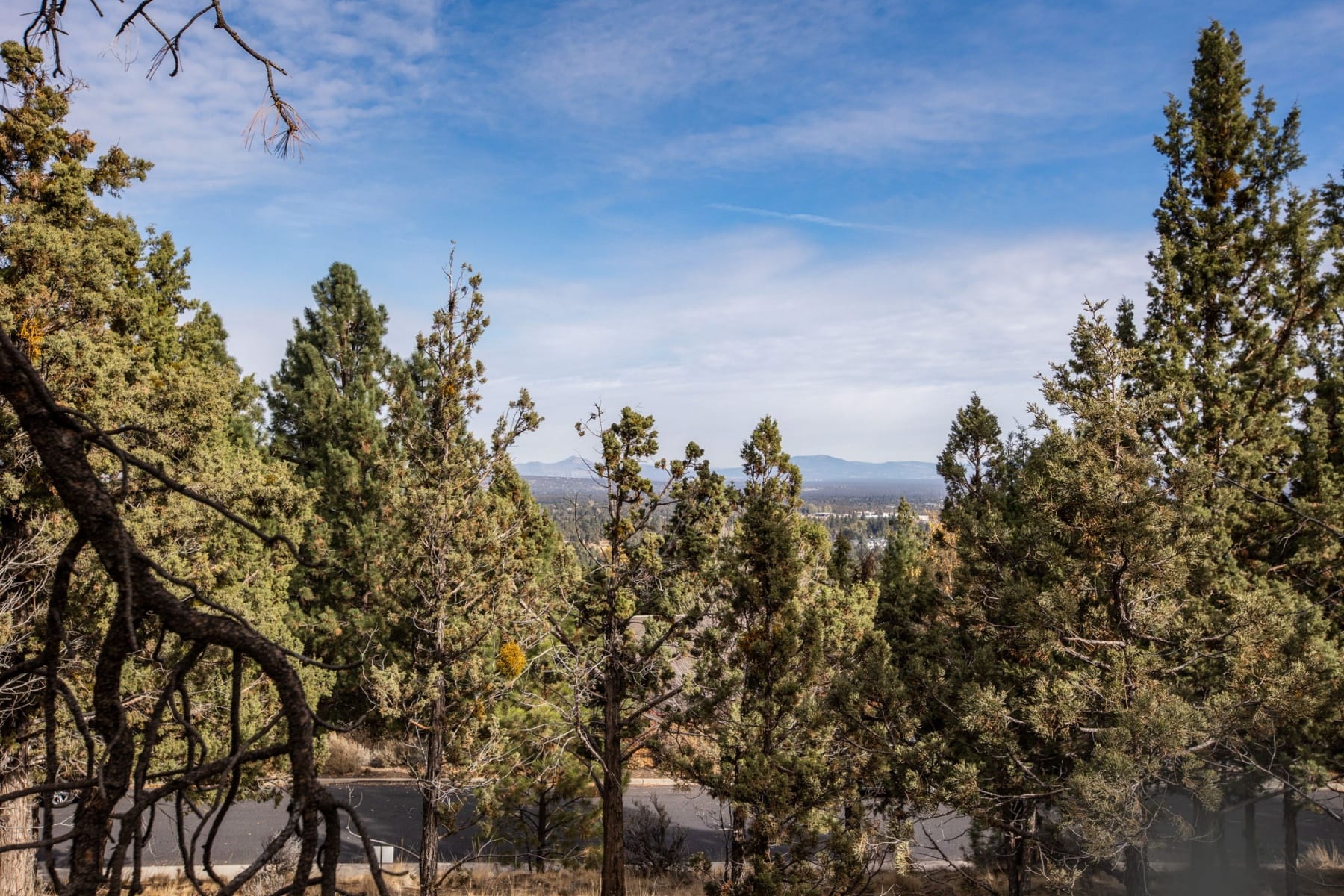 1327 NW Constellation Drive Bend, OR 97703 - 物件實景