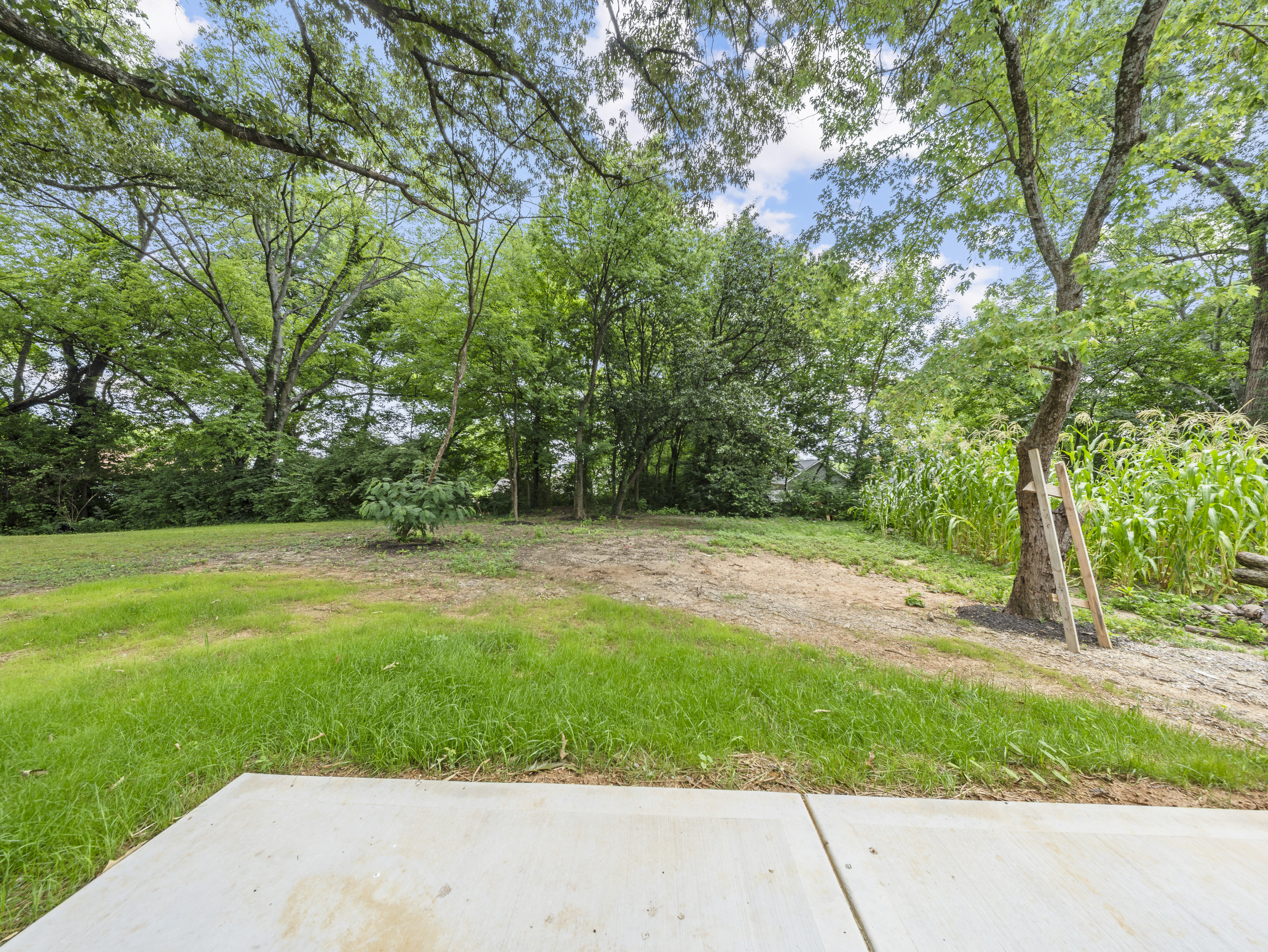  1208 Ohio Avenue, Knoxville, TN 37921 - 物件實景