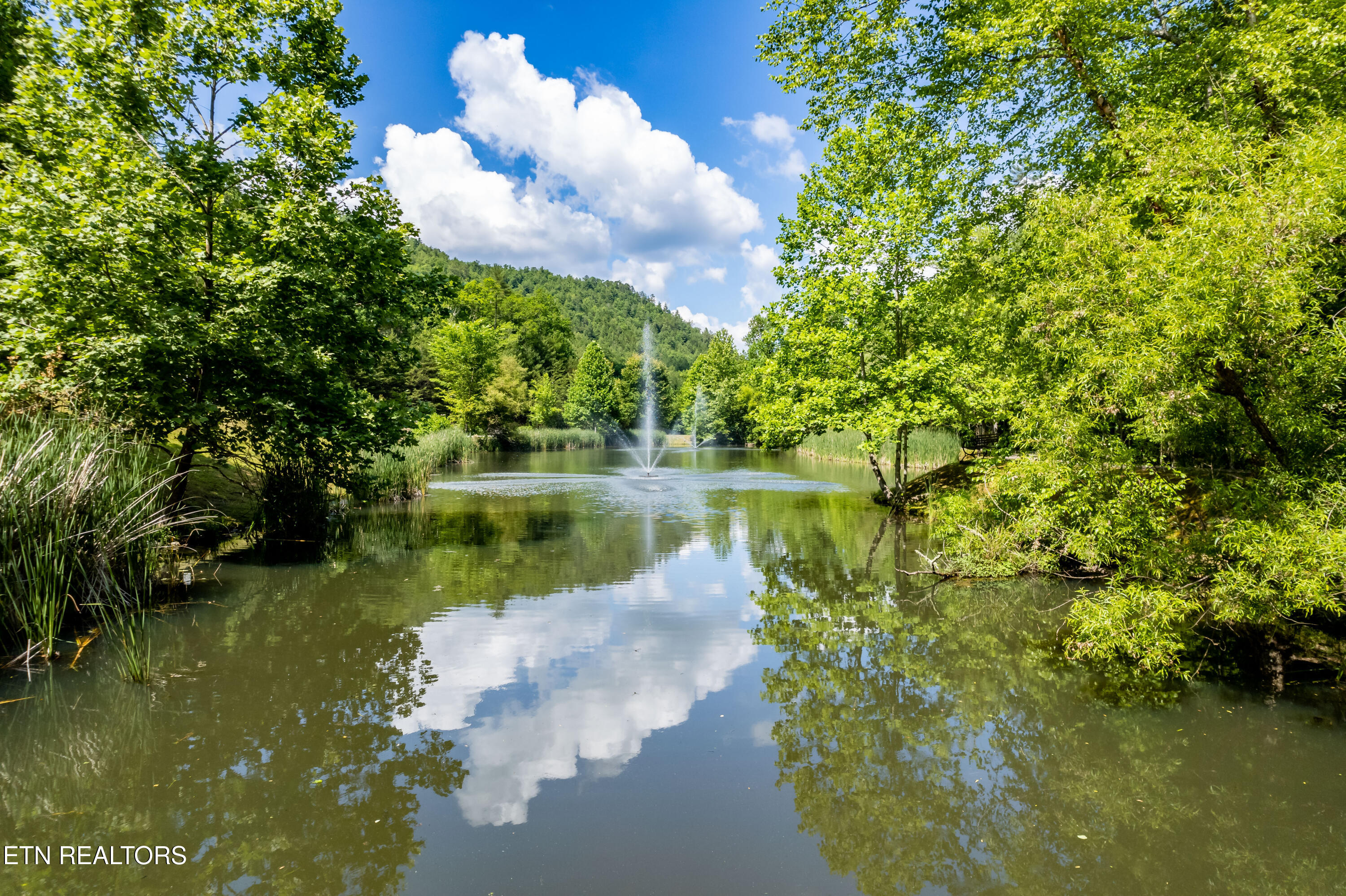 Townsend, Tennessee, 37882, United States, ,Land,For Sale,1982643